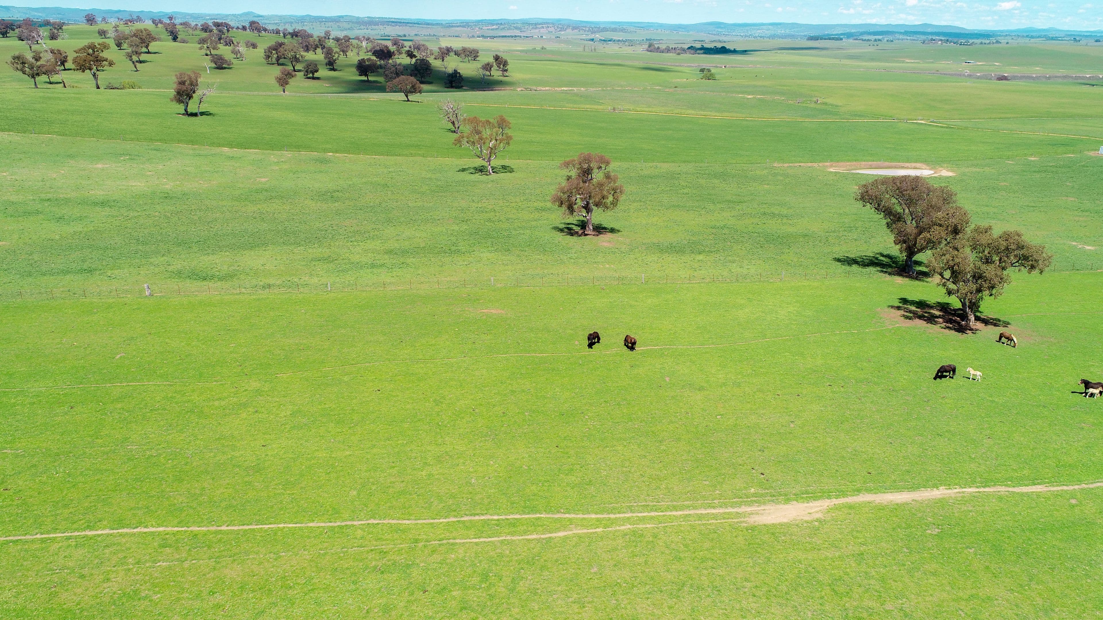 4985 Great Western Highway, Glanmire NSW 2795, Glanmire - Thumbnail 8