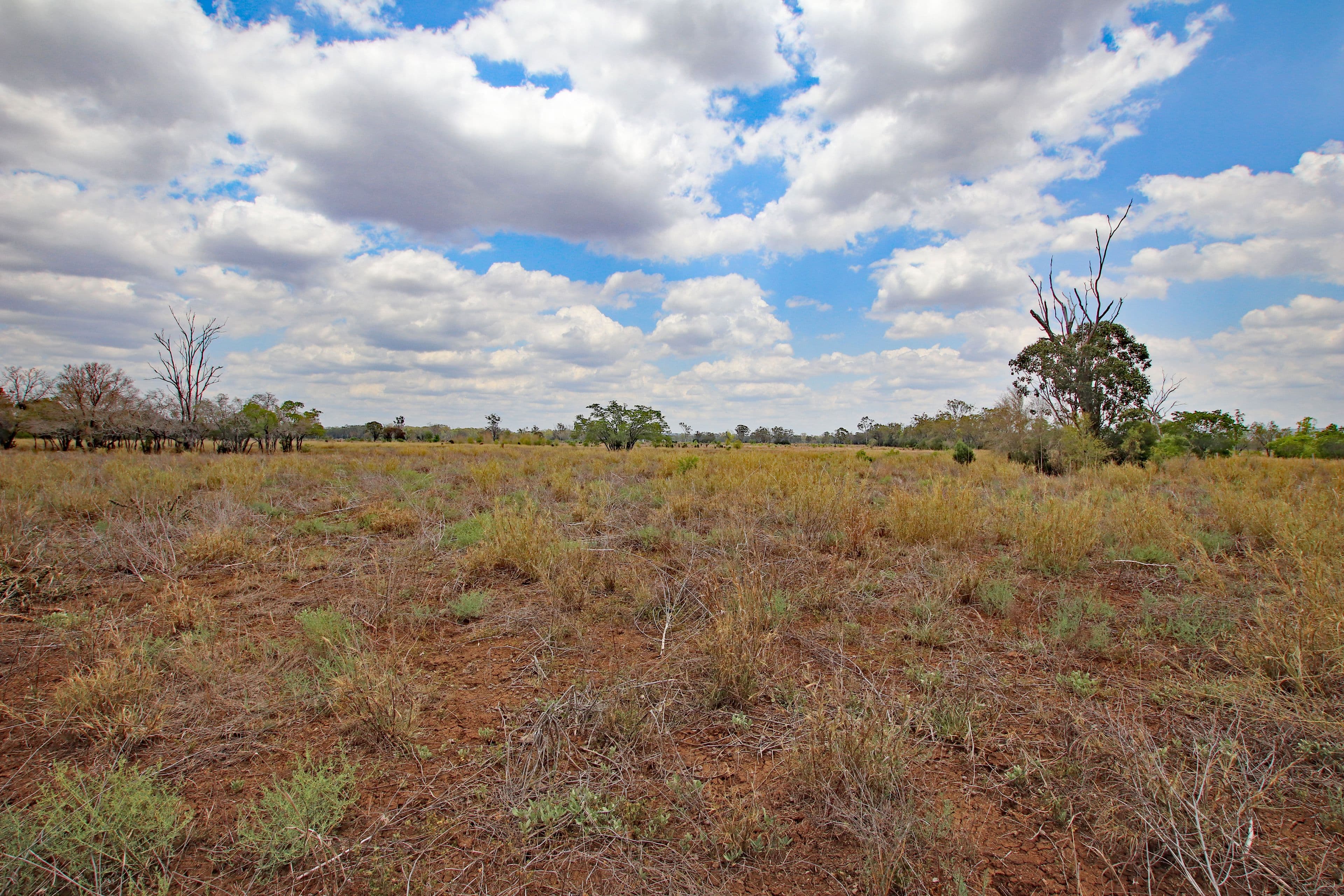 47413 Burnett Highway, Dululu QLD 4702, Dululu - Thumbnail 8