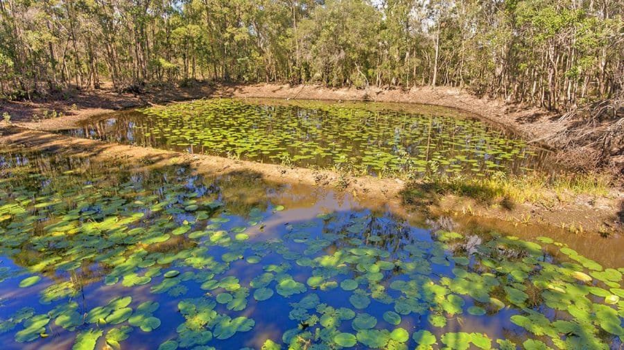 43 Rafting Ground Road, Agnes Water QLD 4677, Agnes Water - Thumbnail 6