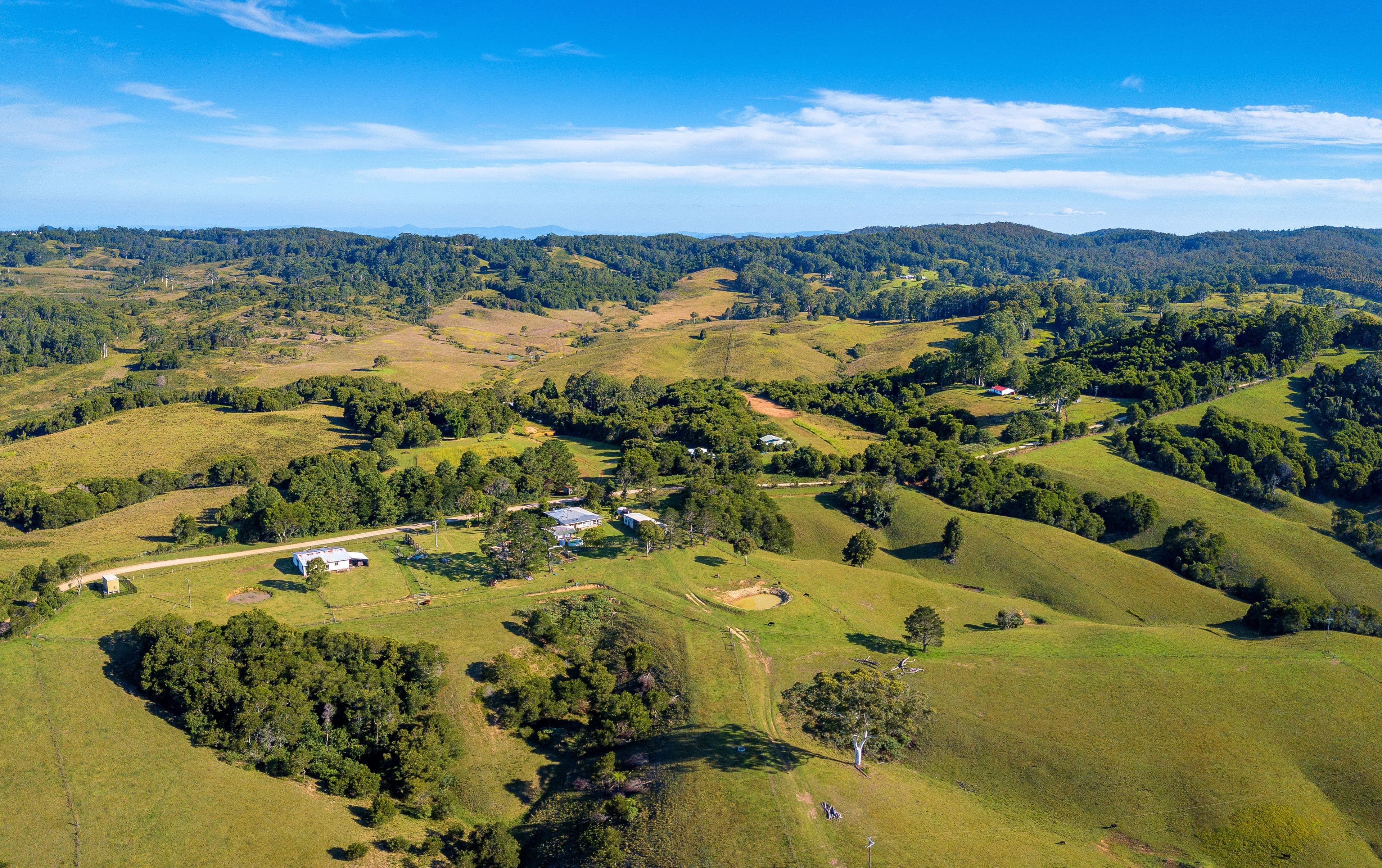 54 Beech Road, Elands NSW 2429, Elands - Thumbnail 3
