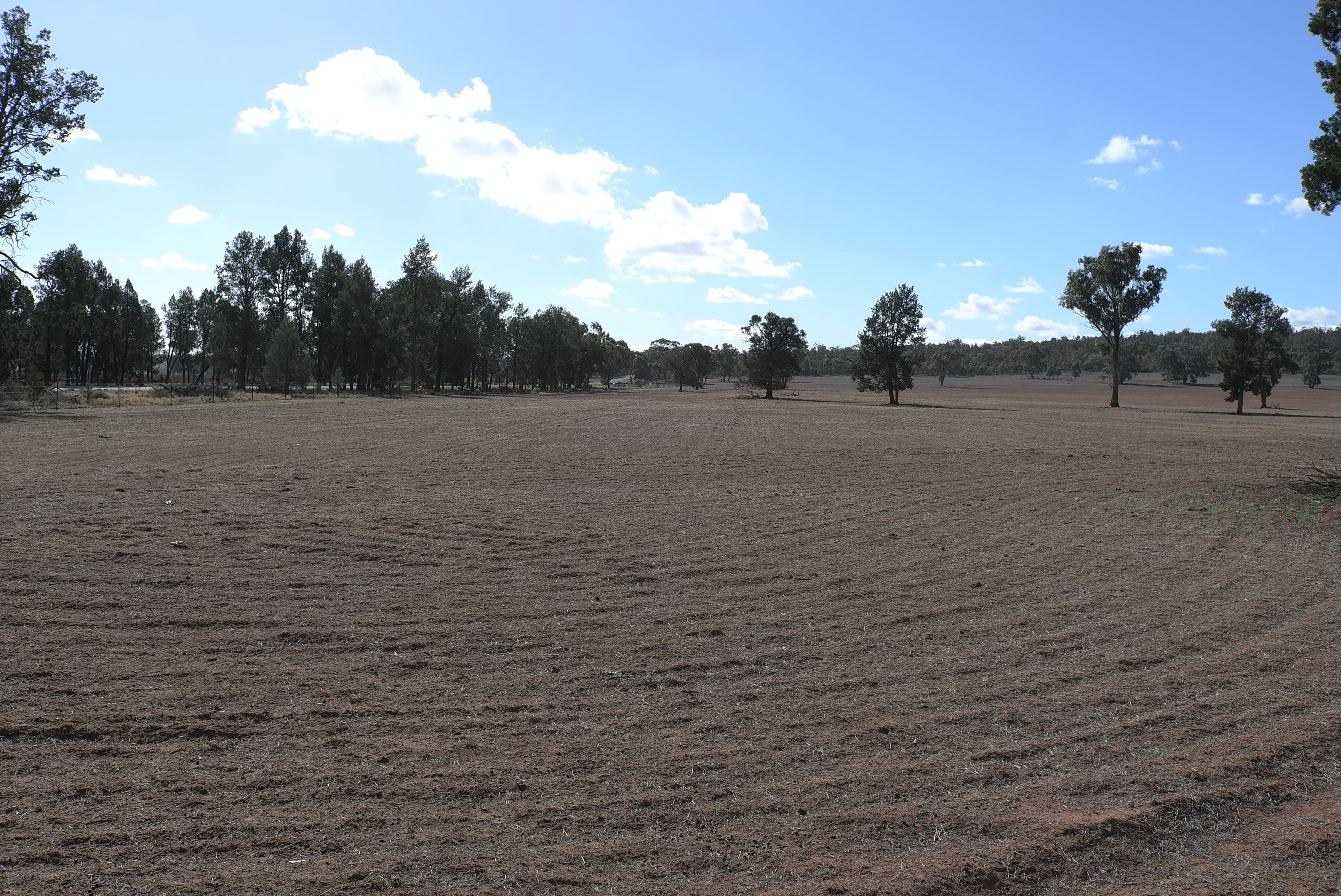Narrandera NSW 2700, Narrandera - Thumbnail 5