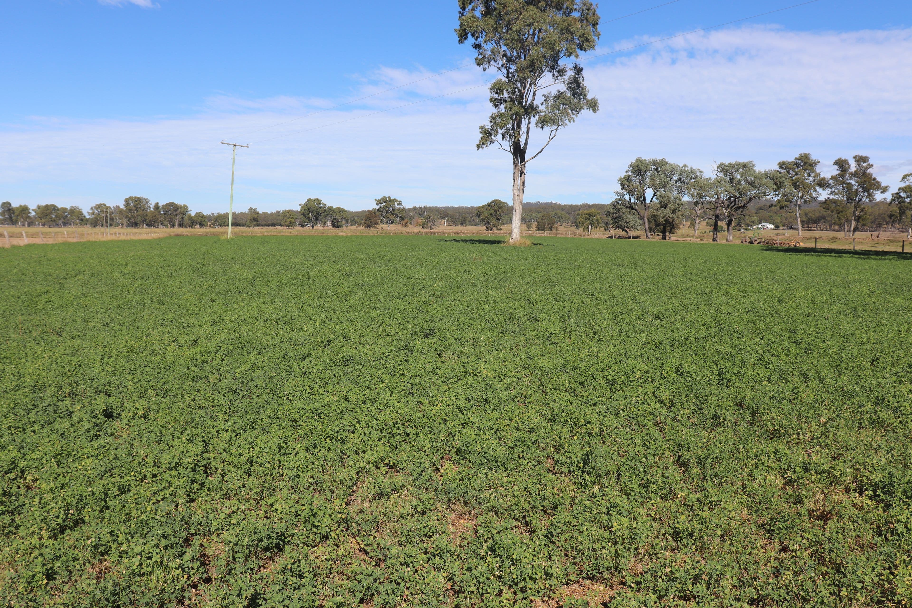 553 Airport Road, Monto QLD 4630, Monto - Thumbnail 2