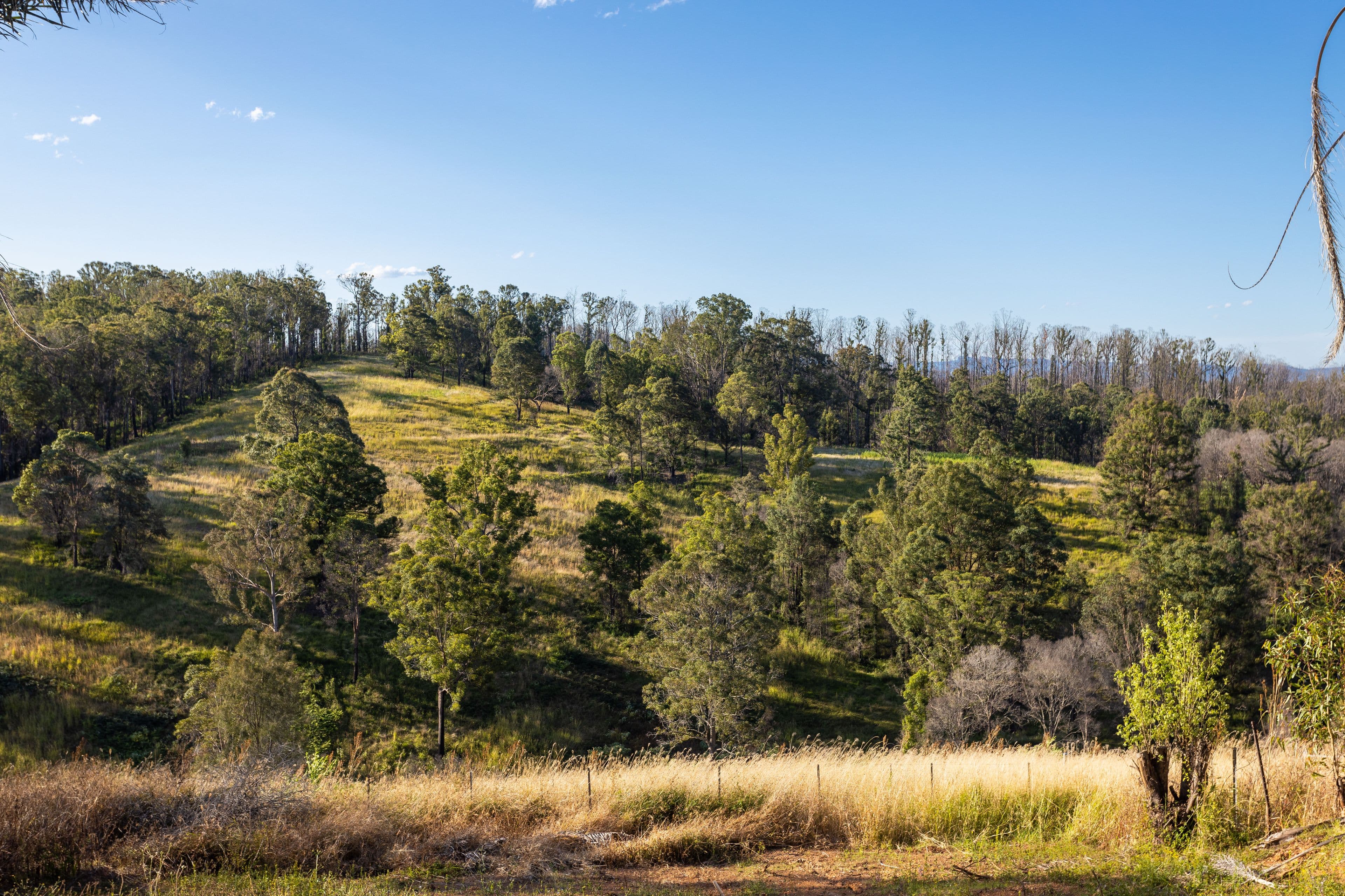 236 Fords Road, Koorainghat NSW 2430, Koorainghat - Thumbnail 5