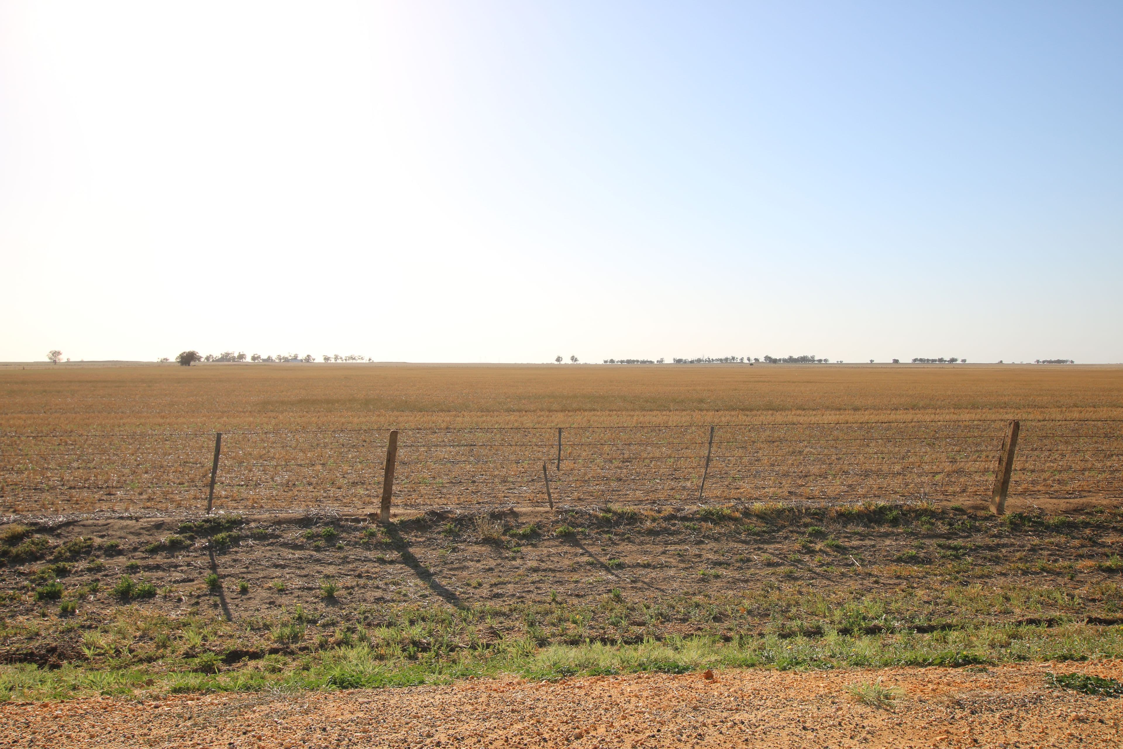 101 Jeffcott South School Bus Route Road, Donald VIC 3480, Donald - Thumbnail 3