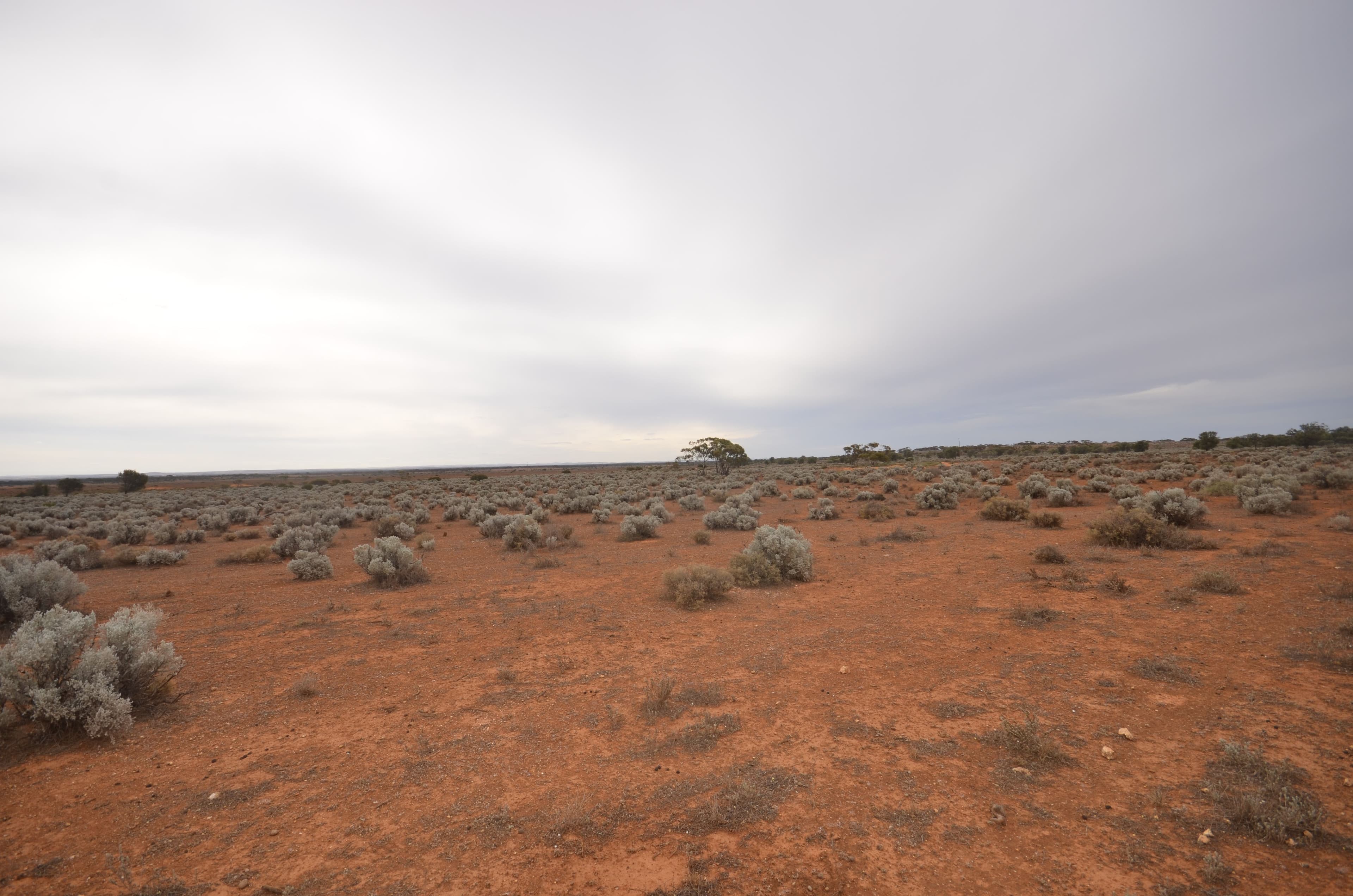 Lot 26 Mary Mont Road, Mount Mary SA 5374, Mount Mary - Thumbnail 2
