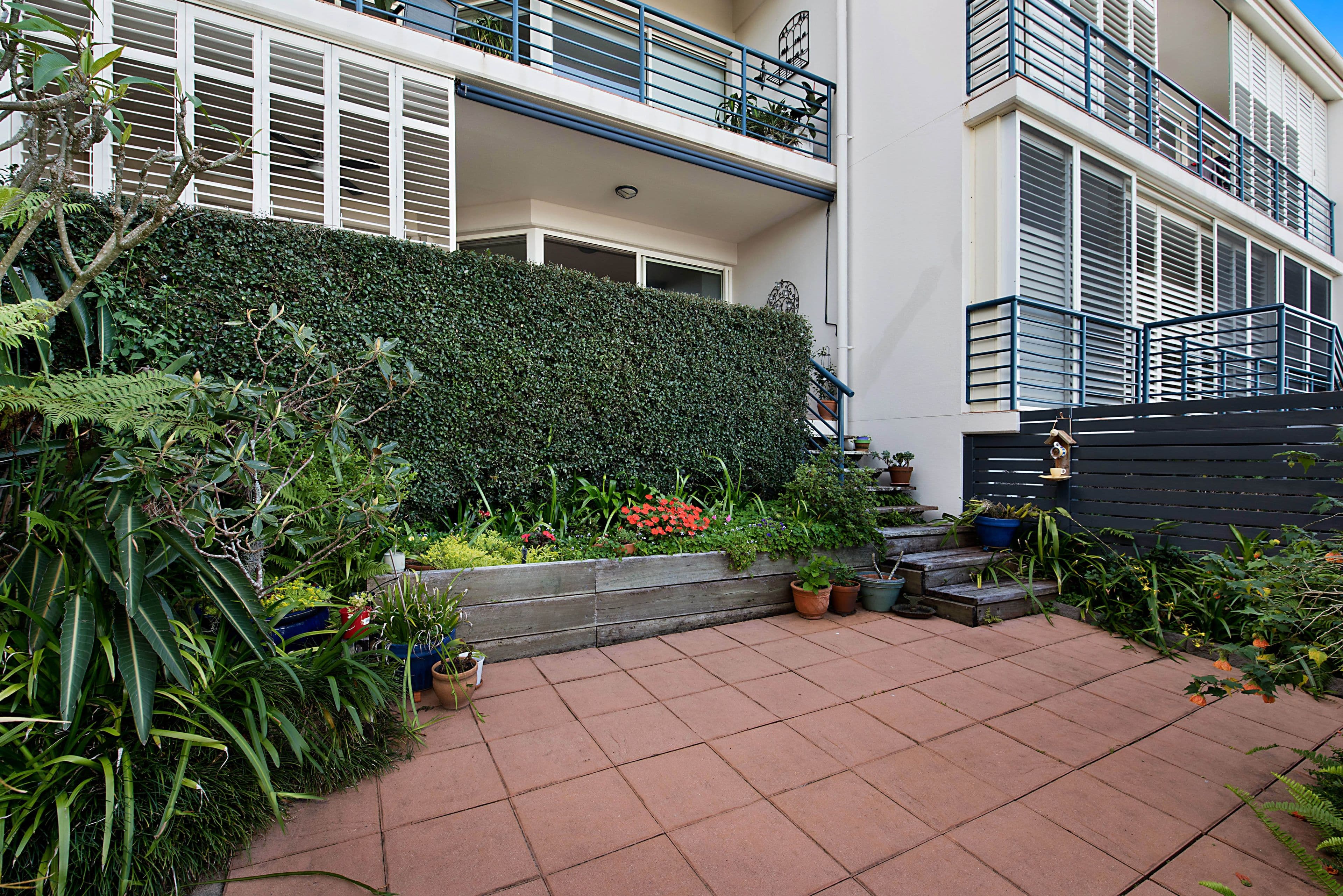 139 Burnett Street, Buderim QLD 4556, Buderim - Thumbnail 5