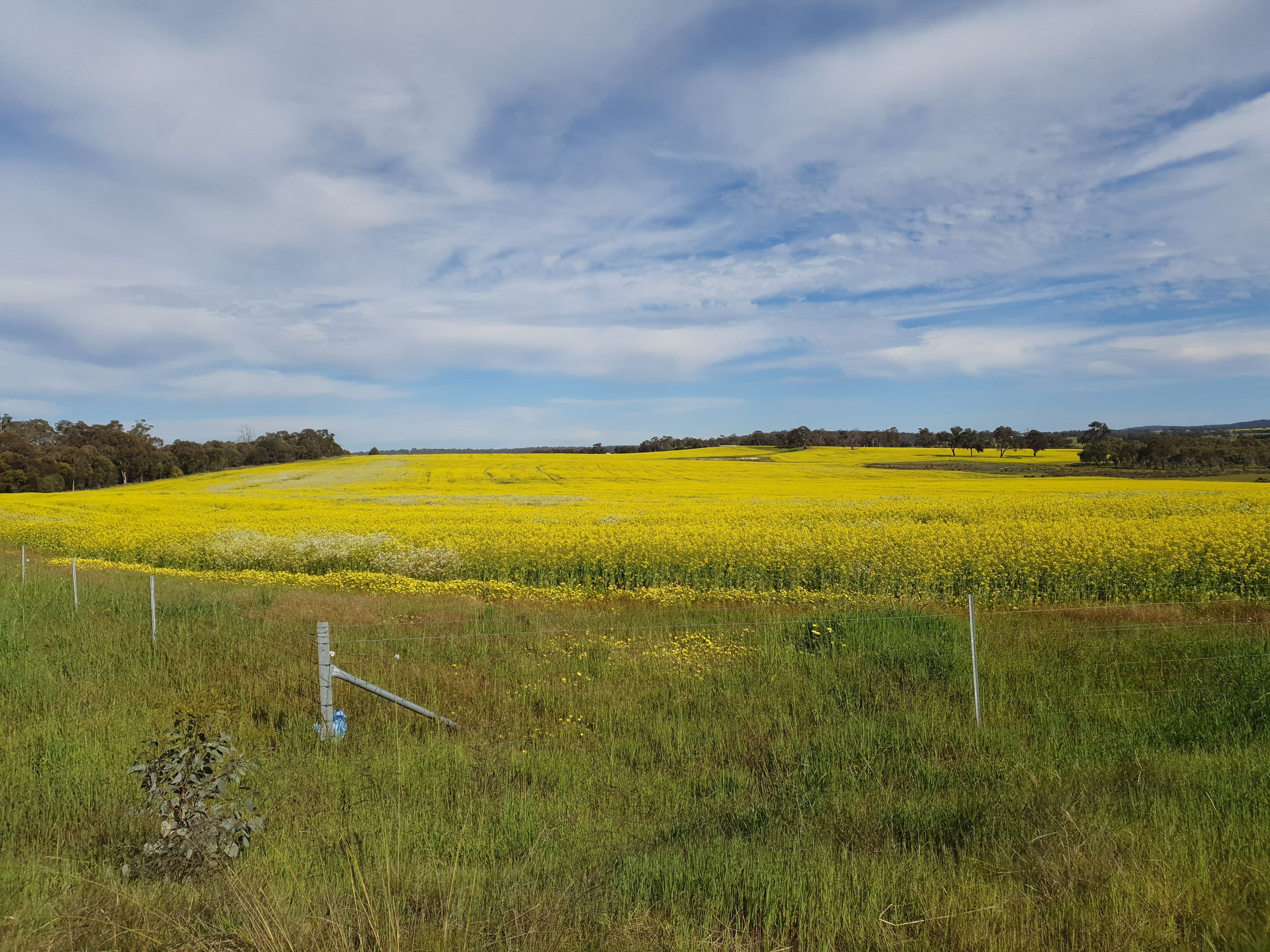 23 Westdale Road, Beverley WA 6304, Beverley - Thumbnail 4