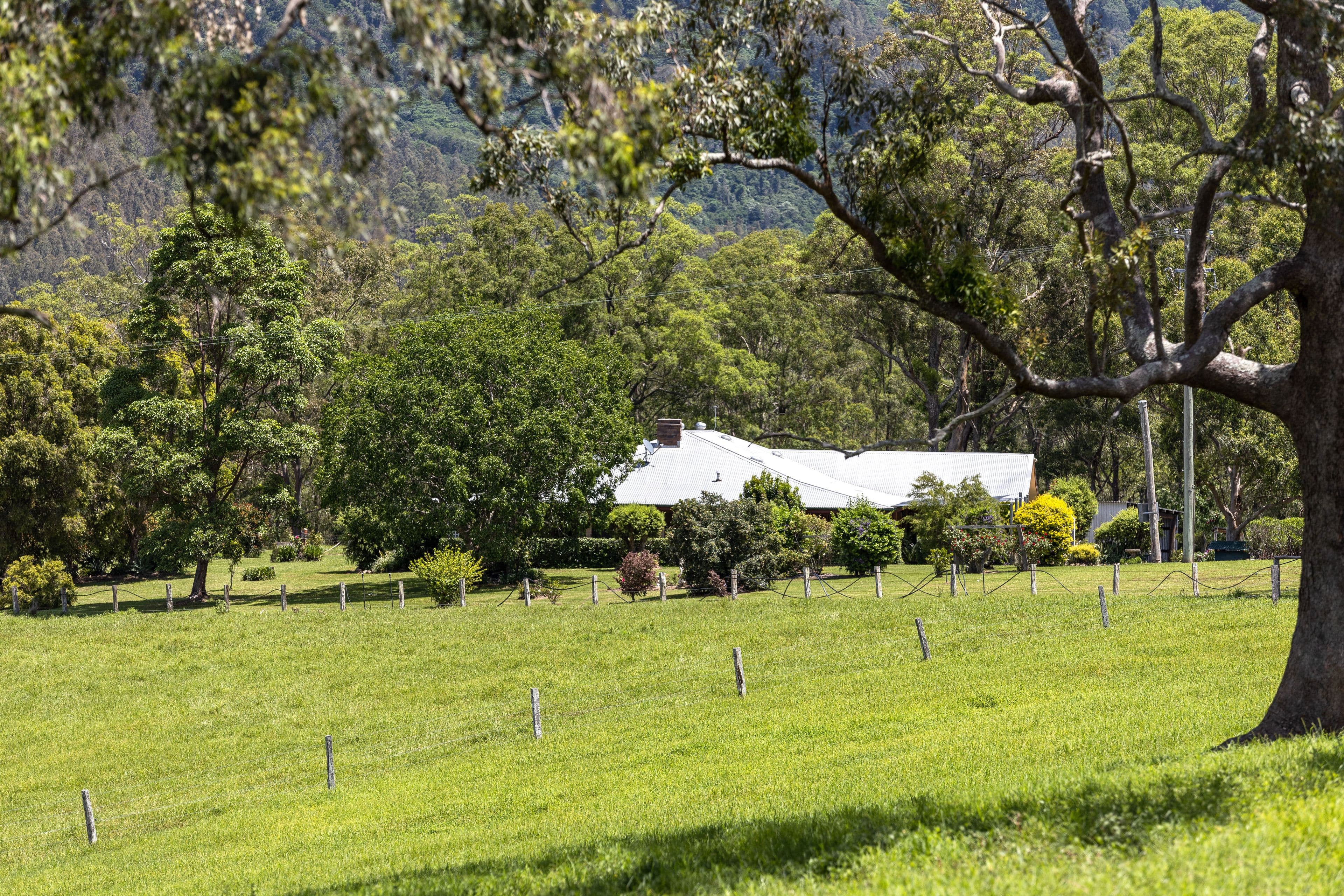 1187 Nowendoc Road, Mount George NSW 2424, Mount George - Thumbnail 3