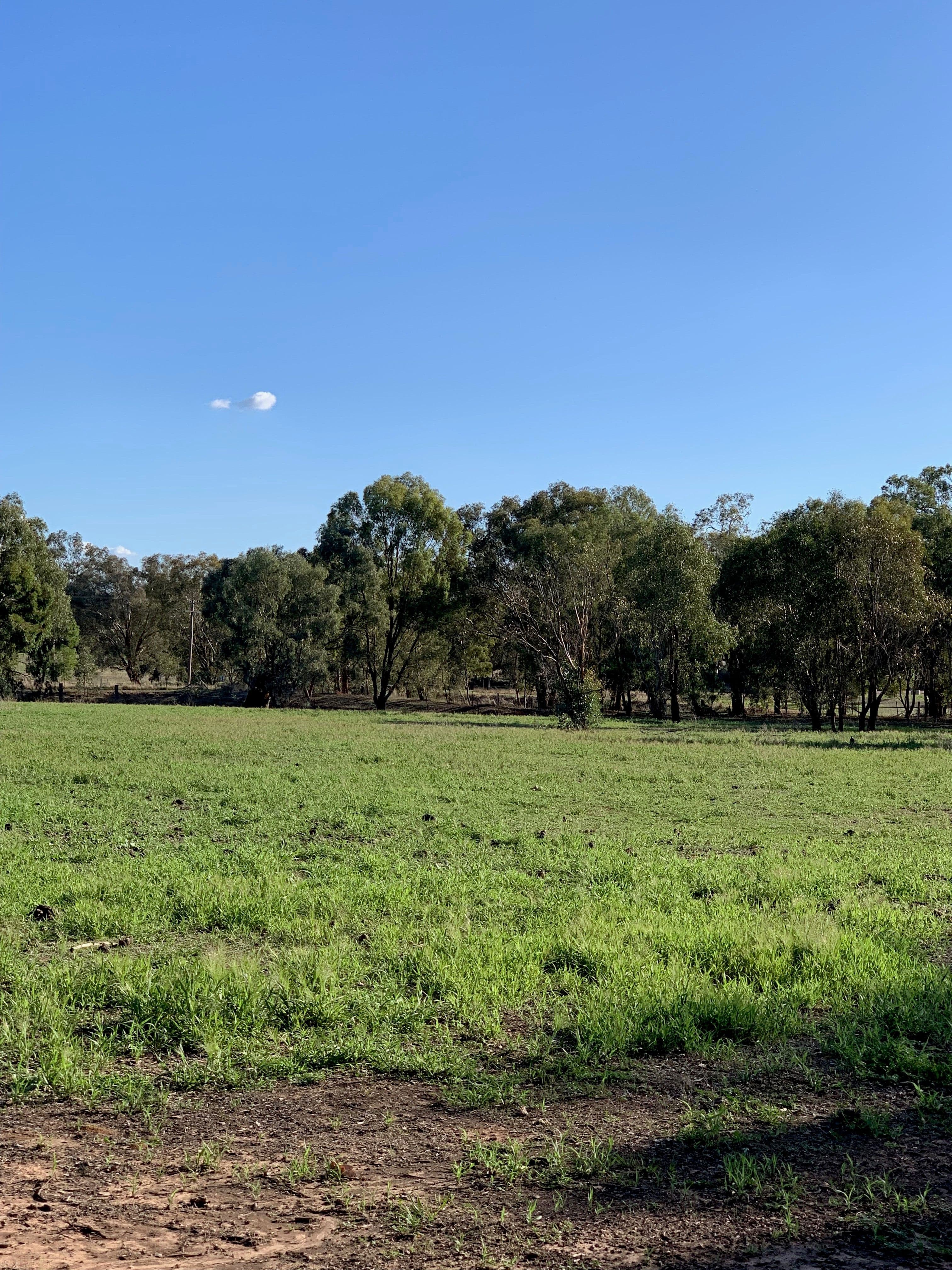 82A Thomas Street, Gerogery NSW 2642, Gerogery - Thumbnail 3