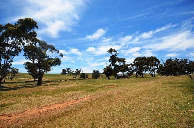 "Holm Hill" Holm Hill Road, Manoora SA 5414, Manoora - Thumbnail 8