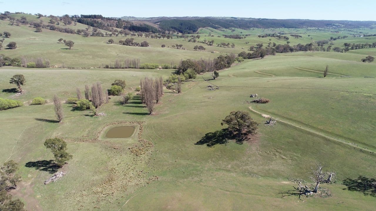 1046 Wimbledon Road, Bathurst NSW 2795, Bathurst - Thumbnail 7