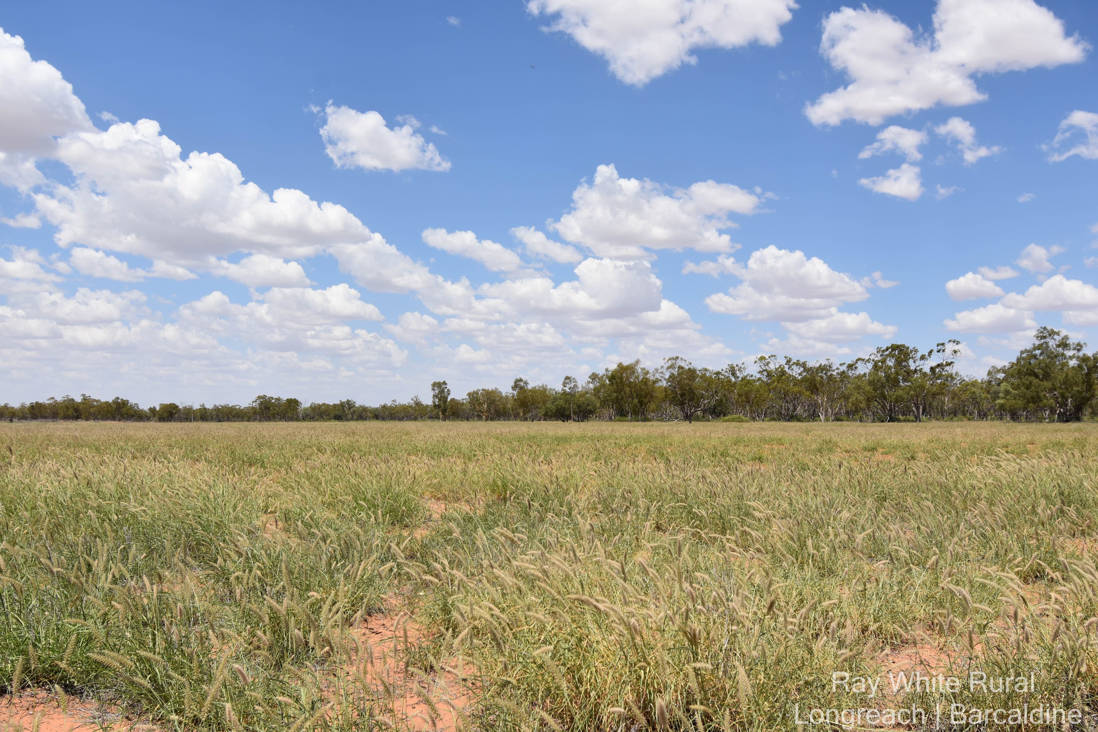 56880 Capricorn Highway, Barcaldine QLD 4725, Barcaldine - Thumbnail 7