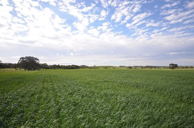 "Ashmore Farm" - Ashmore Smith Road, Mintaro SA 5415, Mintaro - Thumbnail 5