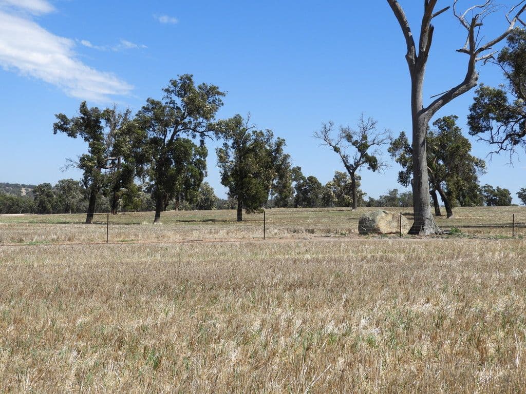 Boase Road Farm, Bakers Hill WA 6562, Bakers Hill - Thumbnail 8