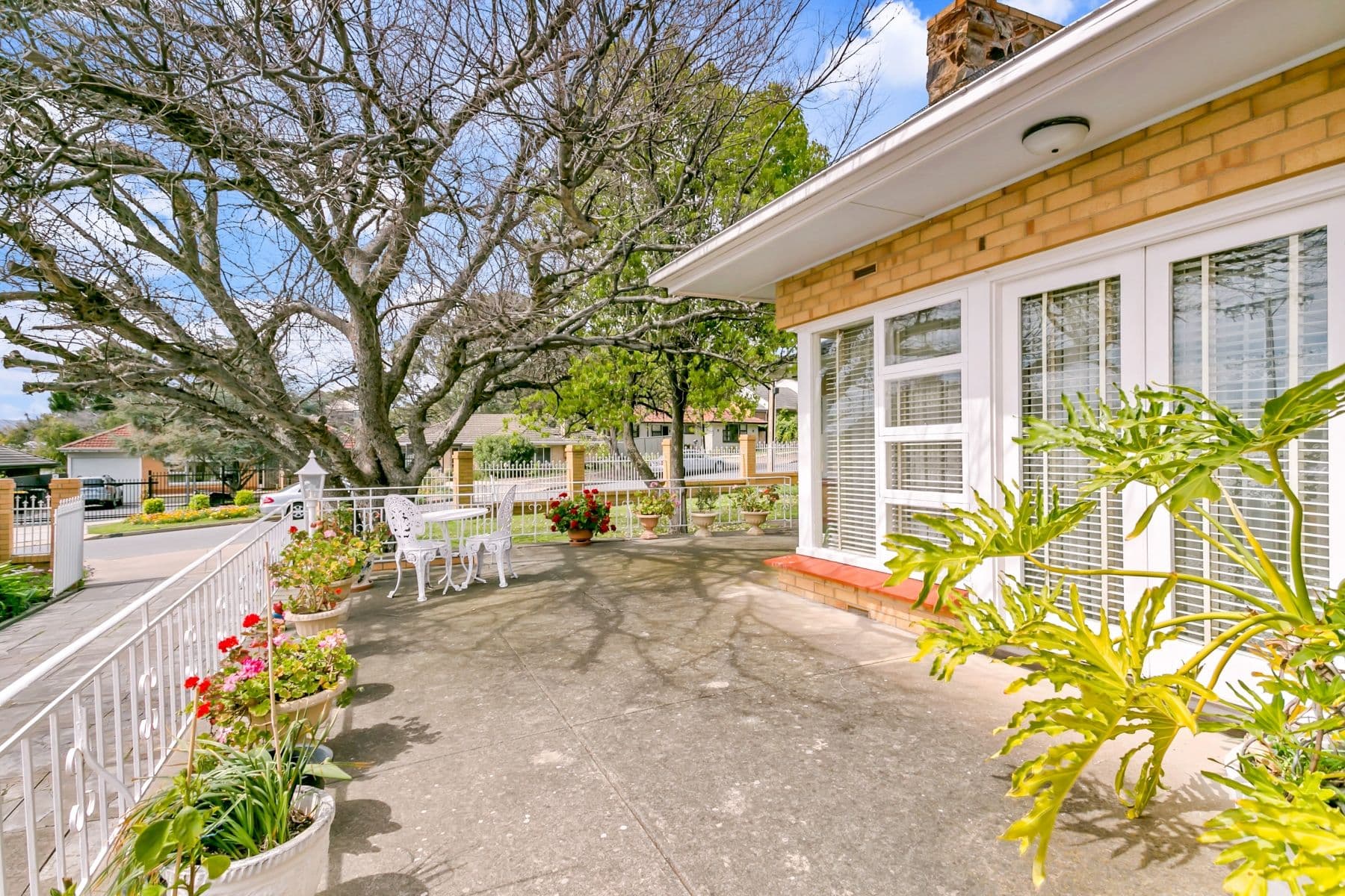 44 Eyre Street, Seaview Downs SA 5049, Seaview Downs - Thumbnail 3