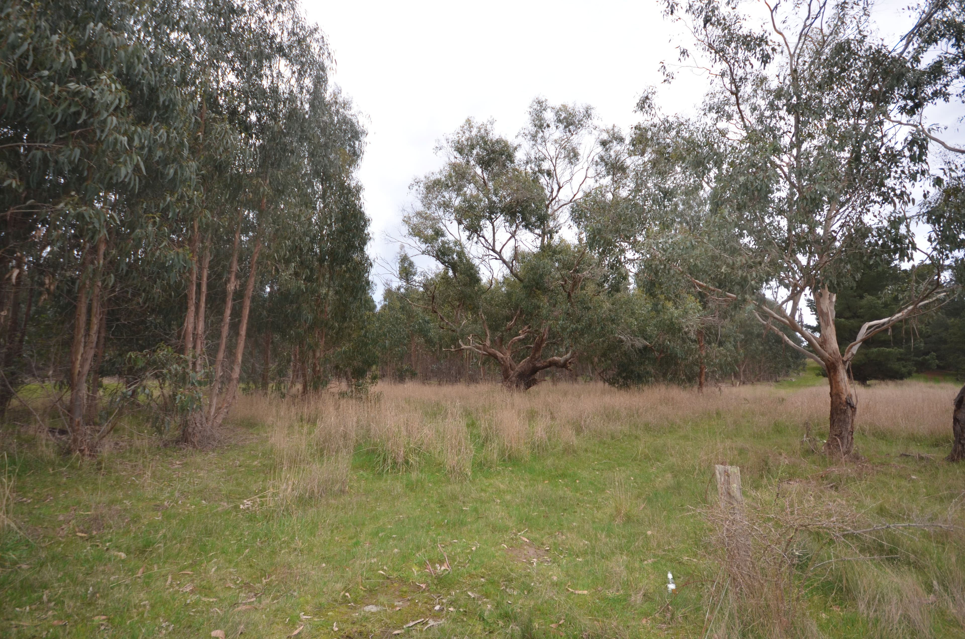 CA 46 Moreton Hill Road, SKIPTON VIC 3361, Skipton - Thumbnail 8