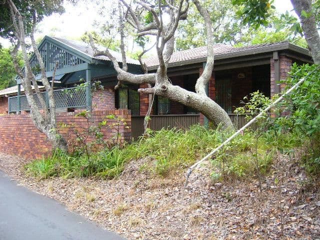 1/20 Lagoon Road, Fingal Head NSW 2487, Fingal Head - Image 1