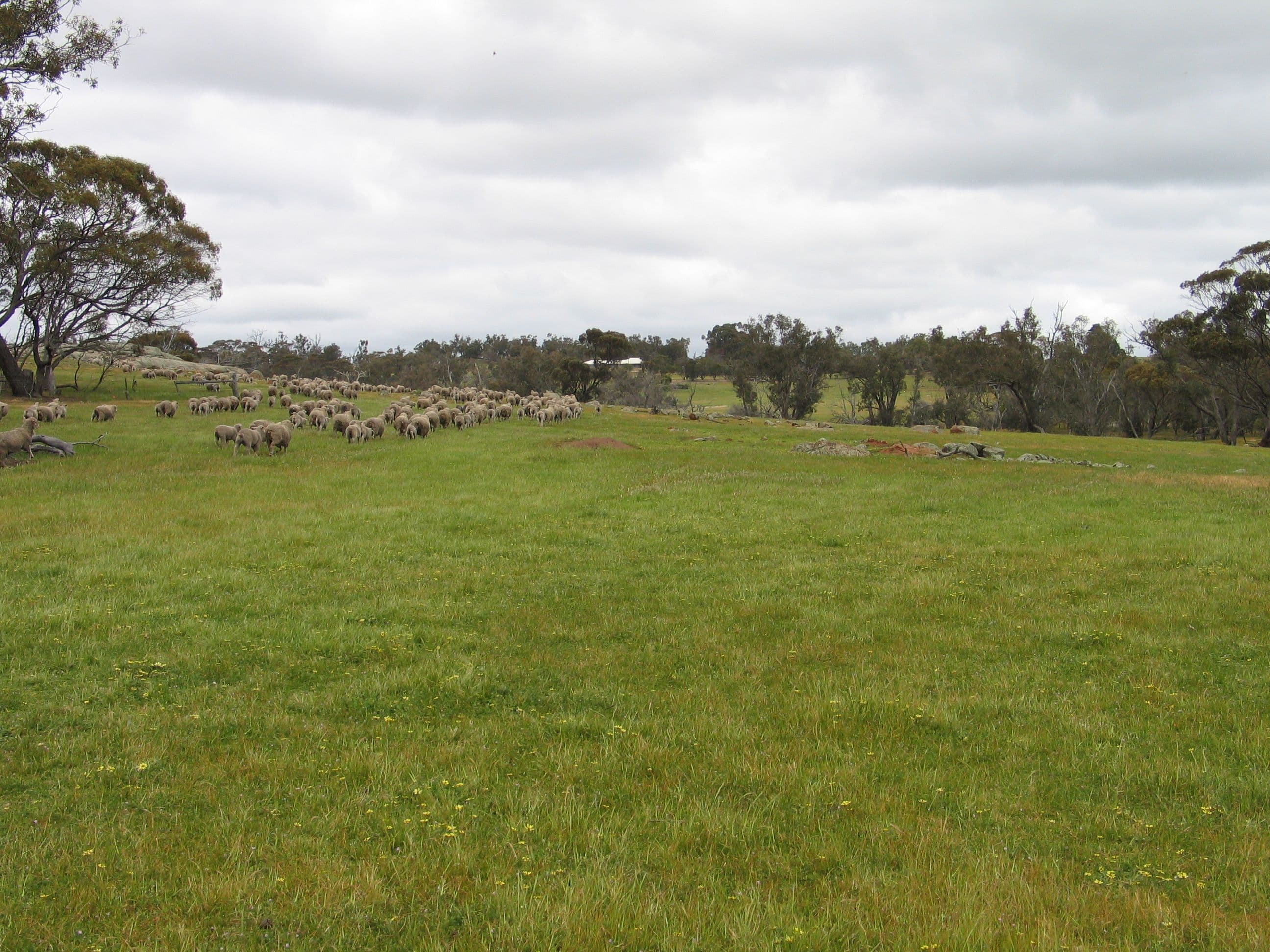 Browns Clarke Road, Coalfields Highway, Arthur River WA 6315, Arthur River - Thumbnail 2