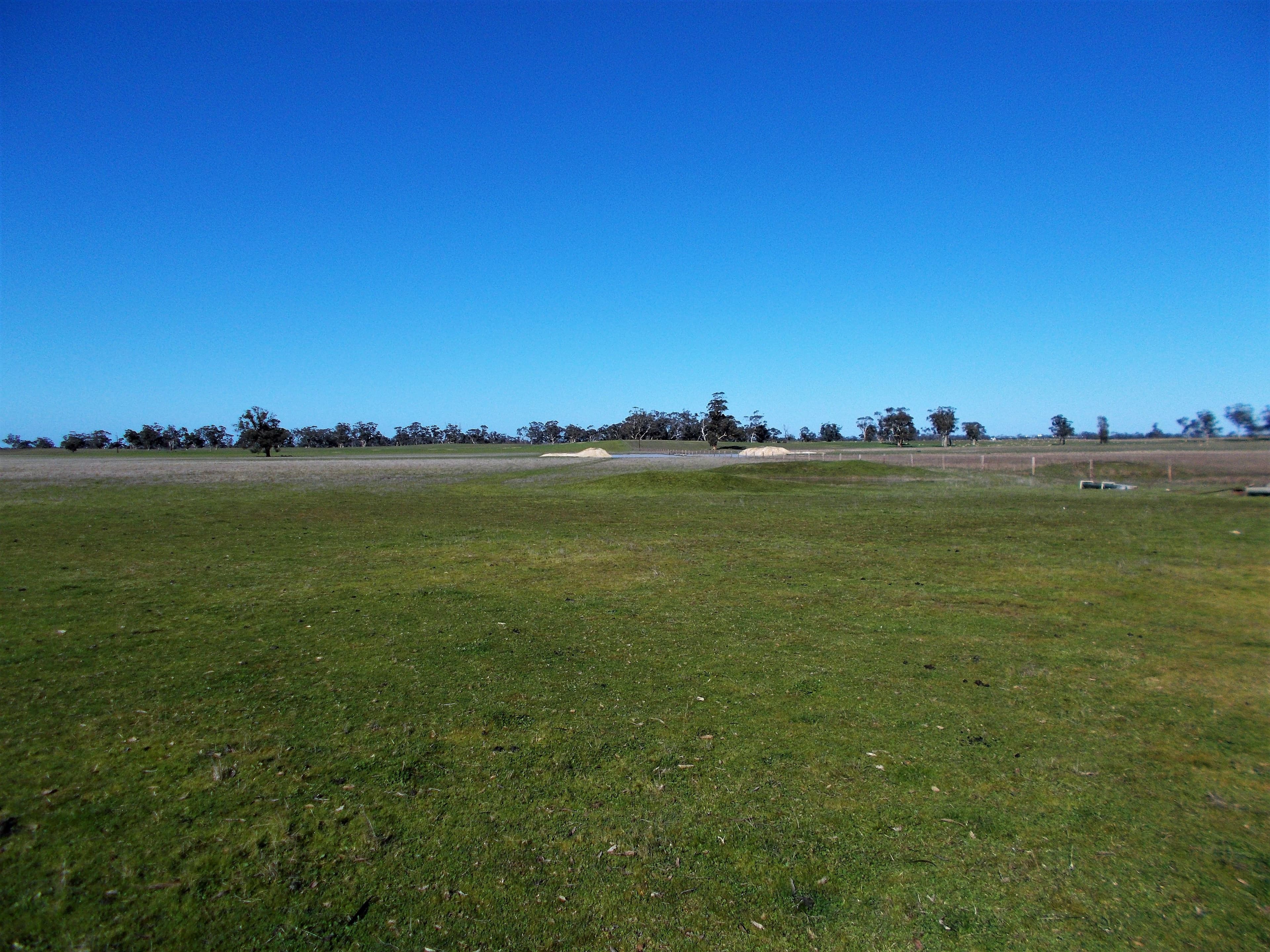 650 Cooper Road, BORDERTOWN SOUTH SA 5268, Bordertown South - Thumbnail 5
