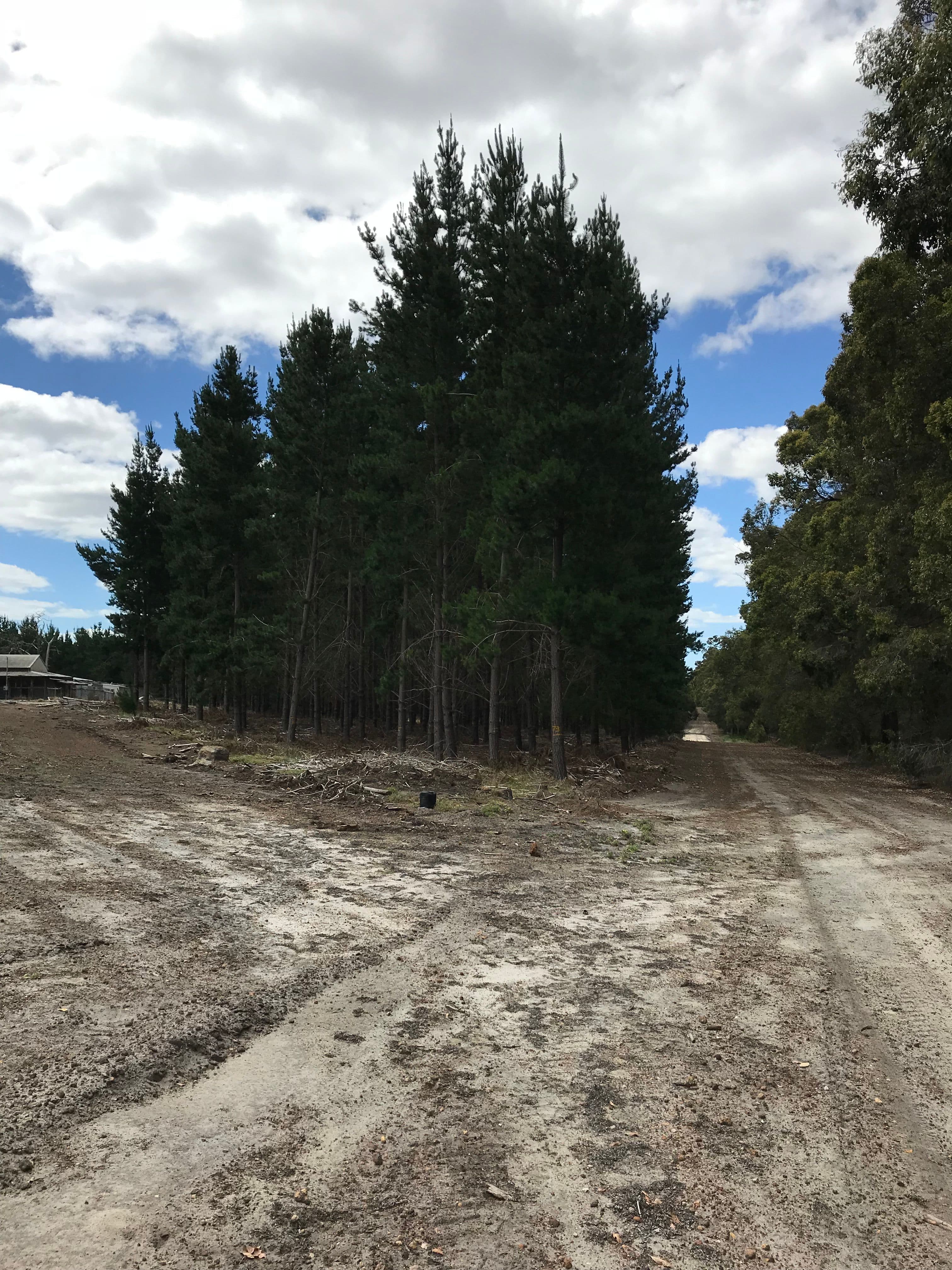 2242 Hamilton Rd, Winnejup, Bridgetown WA 6255, Bridgetown - Thumbnail 2