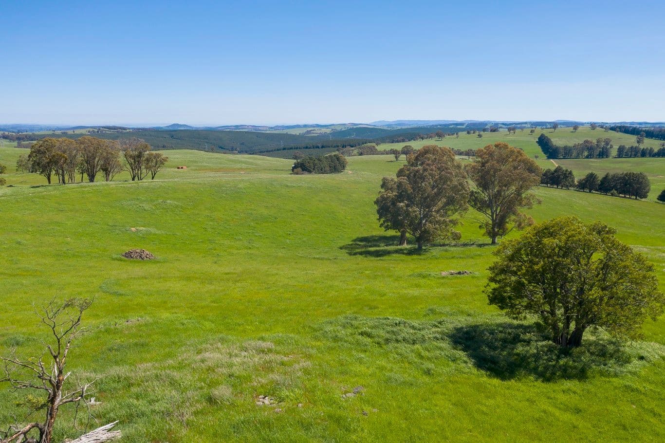 1696 Abercrombie Road, Black Springs NSW 2787, Black Springs - Thumbnail 8