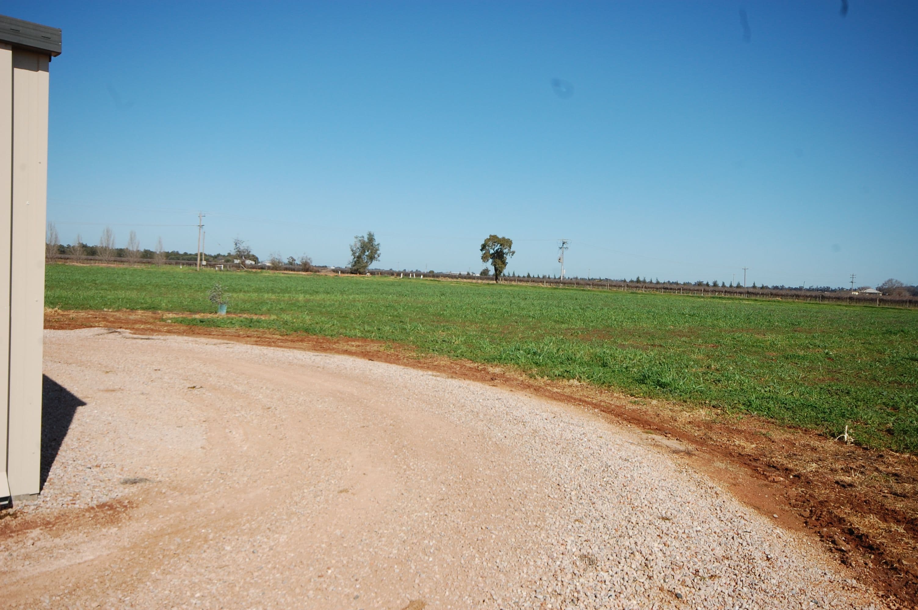 Farm 89A Moseley Road, Bilbul NSW 2680, Bilbul - Thumbnail 8