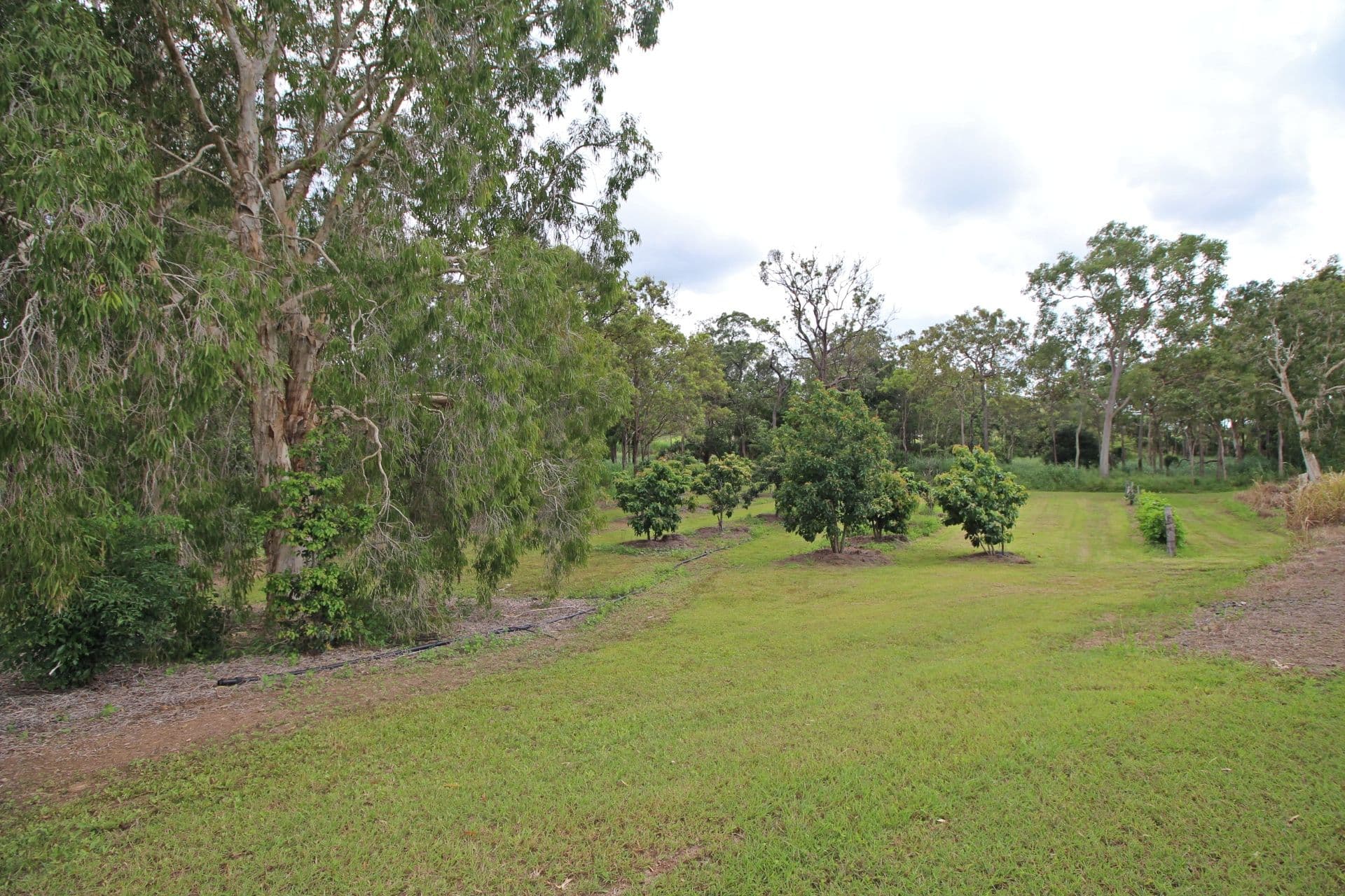 89806 Bruce Highway, Sarina QLD 4737, Sarina - Thumbnail 8