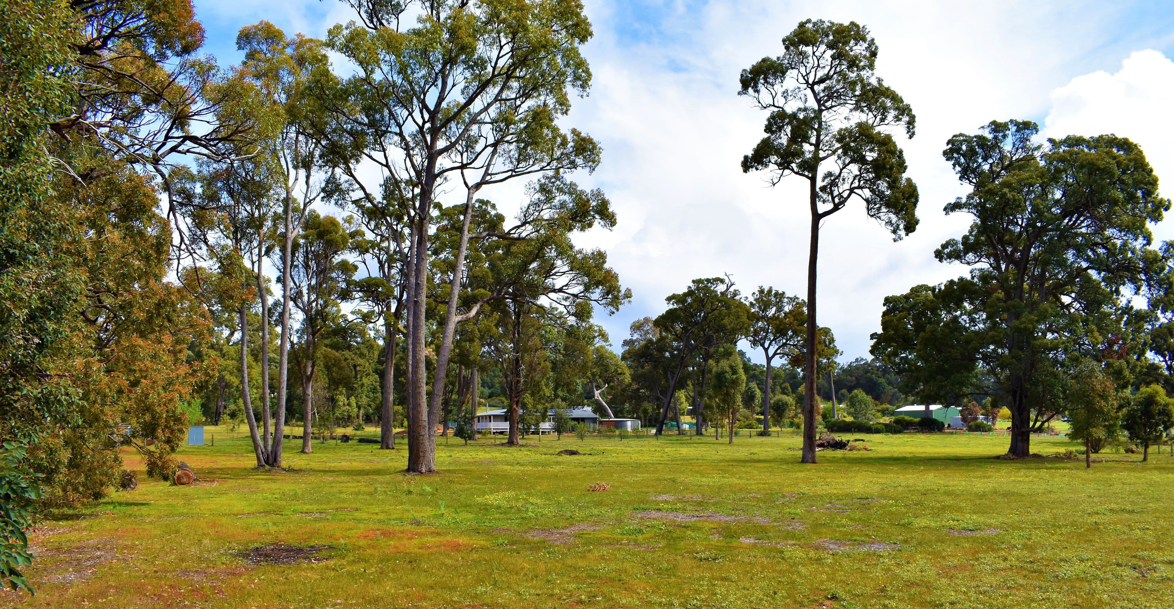 49 Valley Way, Nannup WA 6275, Nannup - Image 1