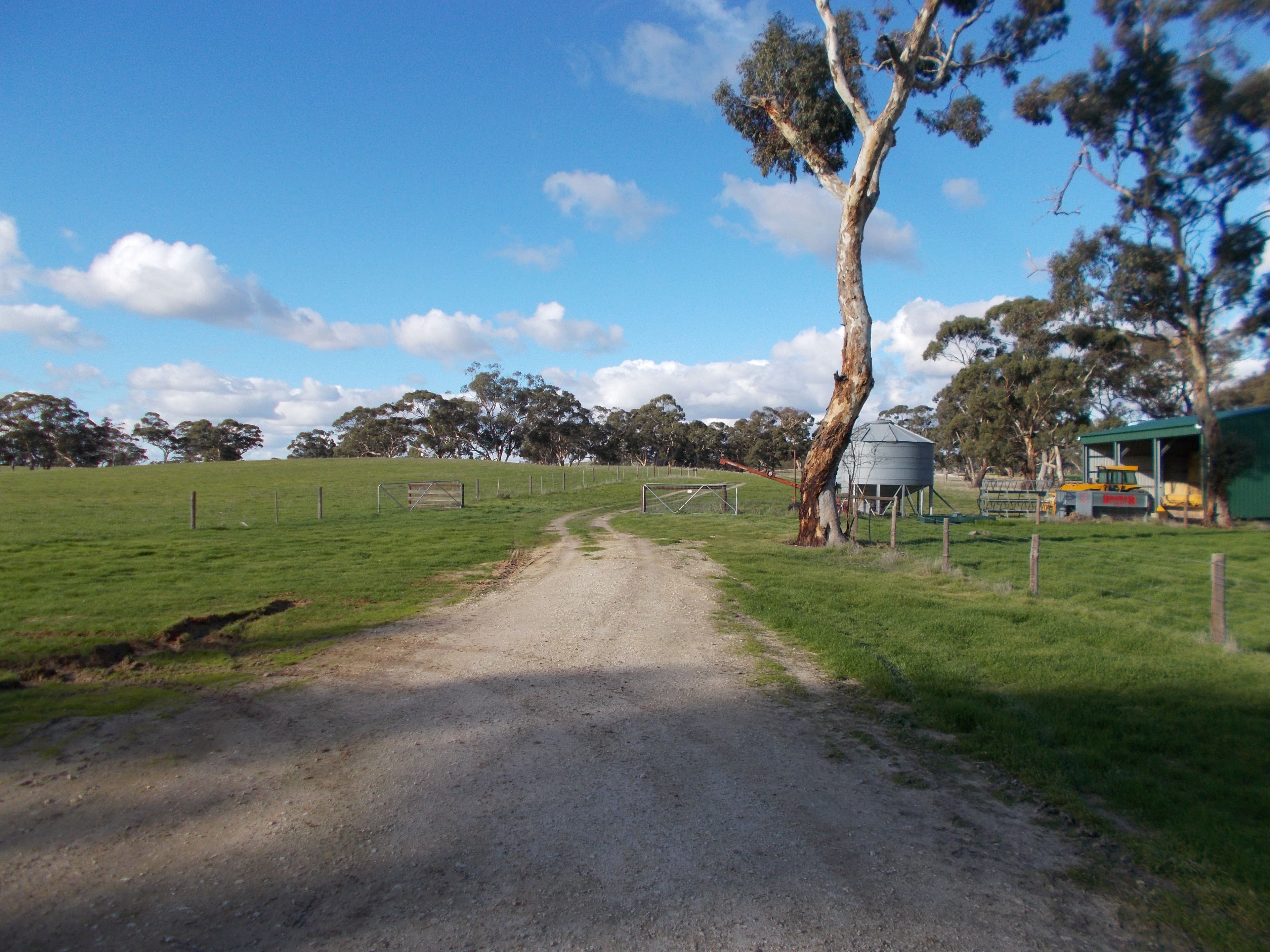 77 O'Connells Road, Bordertown SA 5268, Bordertown - Image 1