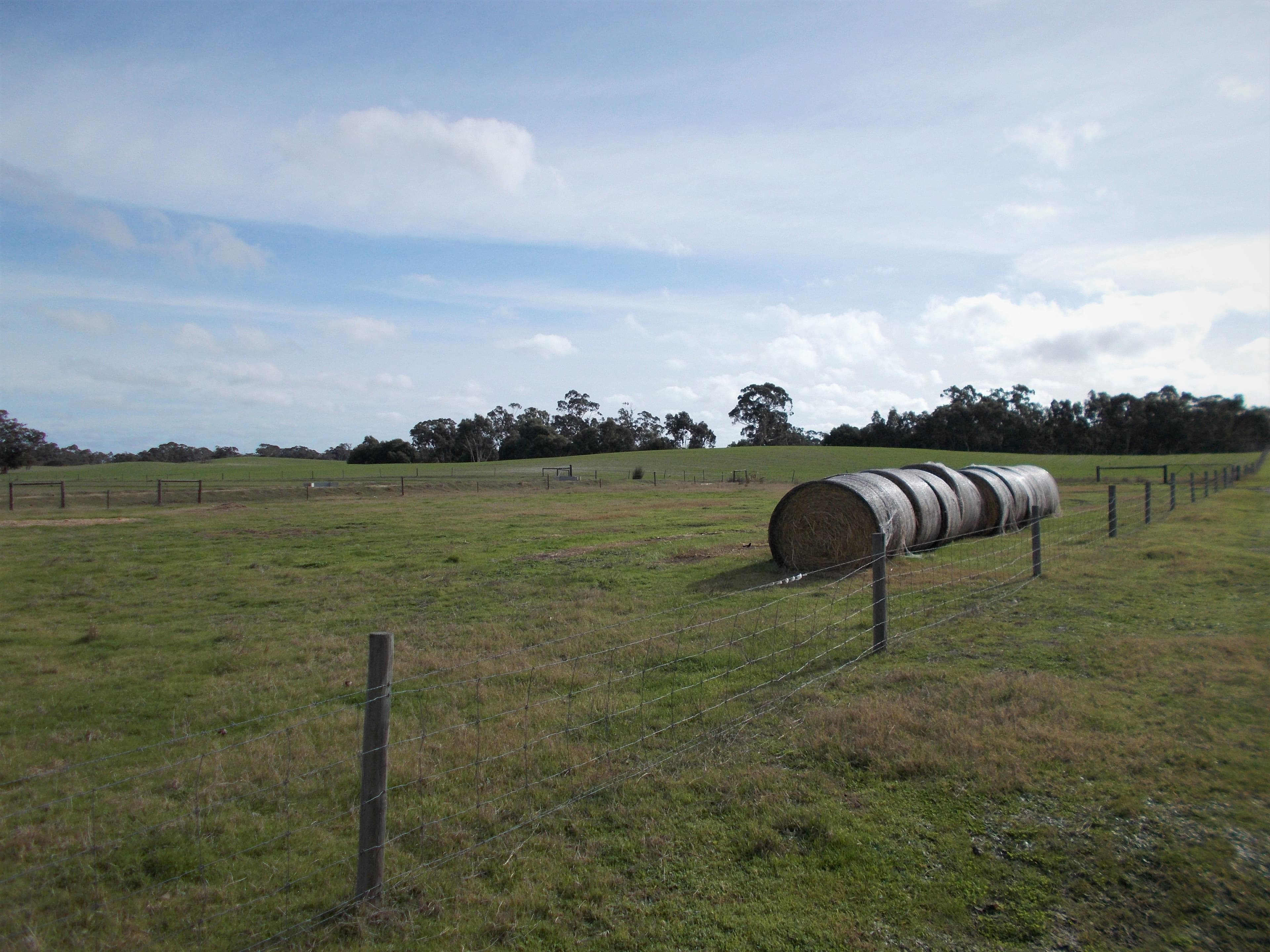 469 Cadell Road, Western Flat SA 5268, Western Flat - Thumbnail 7