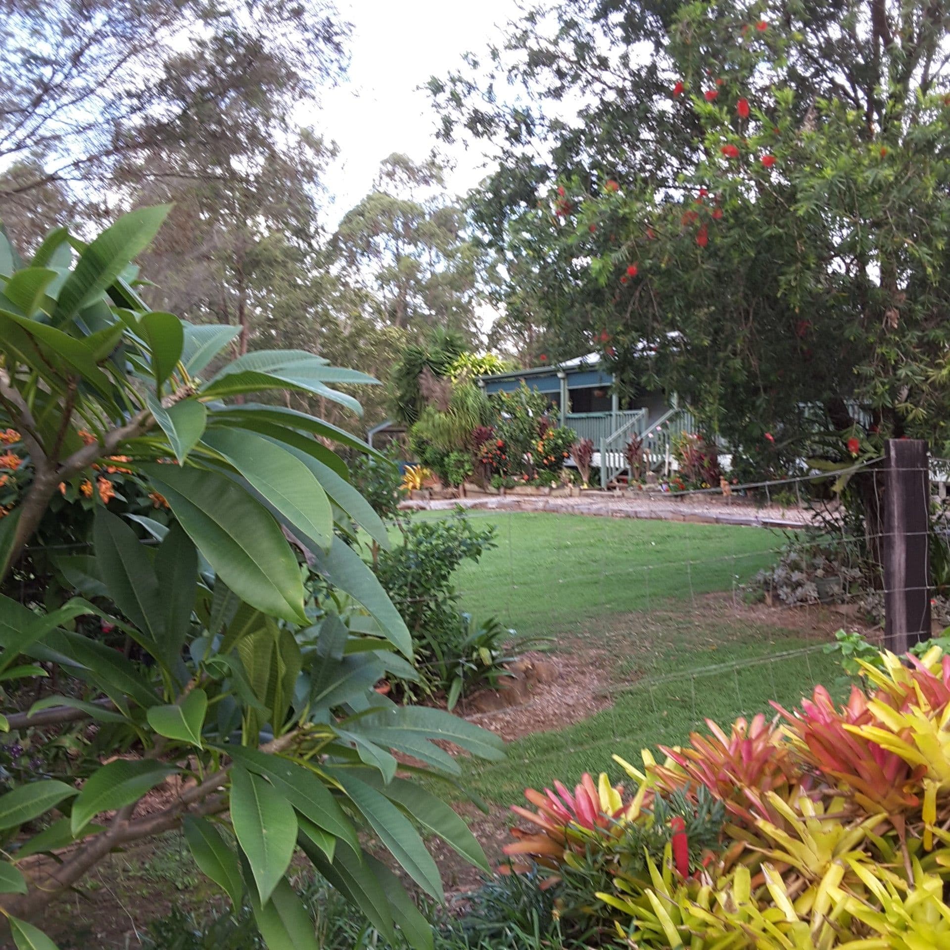 Bauple QLD 4650, Bauple - Thumbnail 8