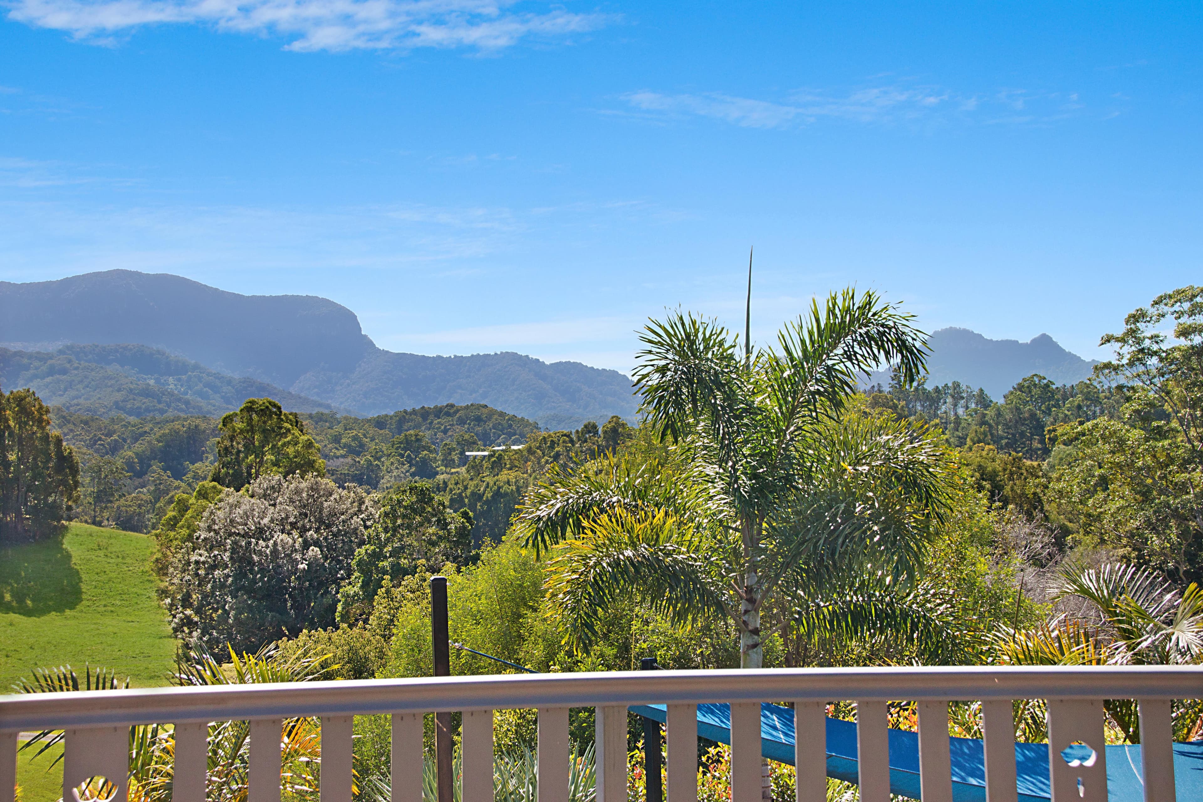 335 Chilcotts Road, Chillingham NSW 2484, Chillingham - Thumbnail 7