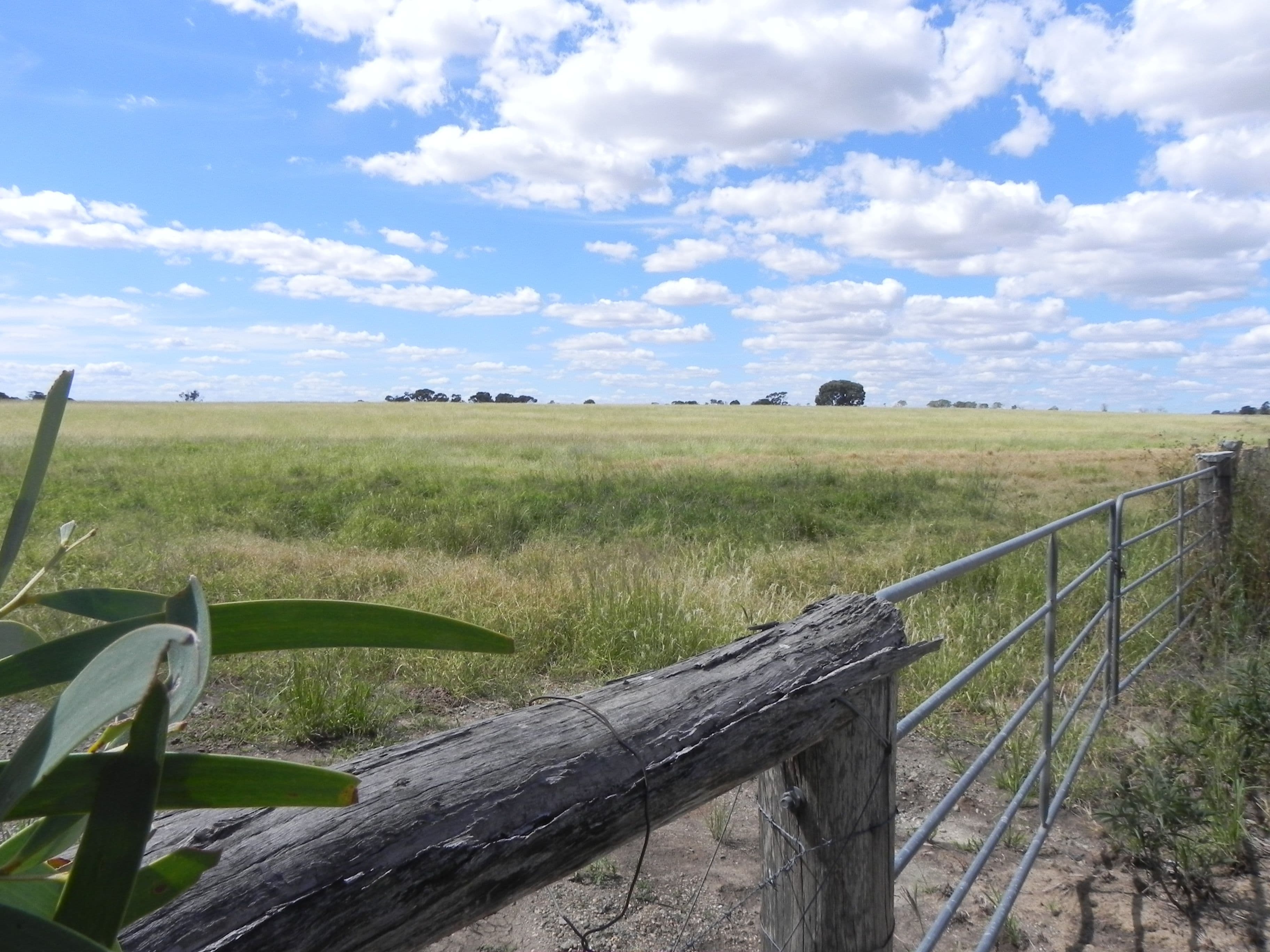 1075 Kooroongarra Road, Lavelle, Millmerran QLD 4357, Millmerran - Thumbnail 4