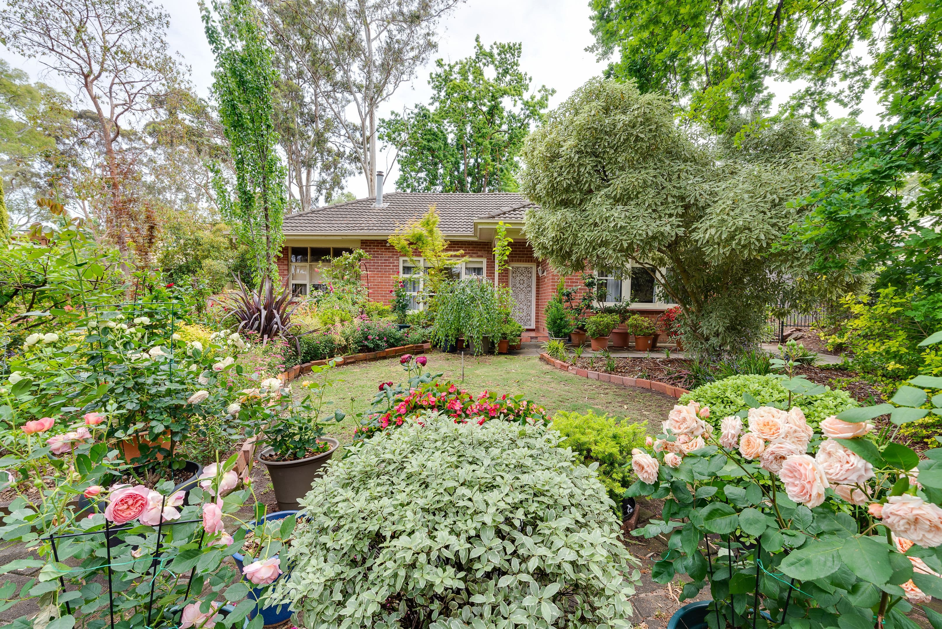 58 Cumming Street, Blackwood SA 5051, Blackwood - Thumbnail 2
