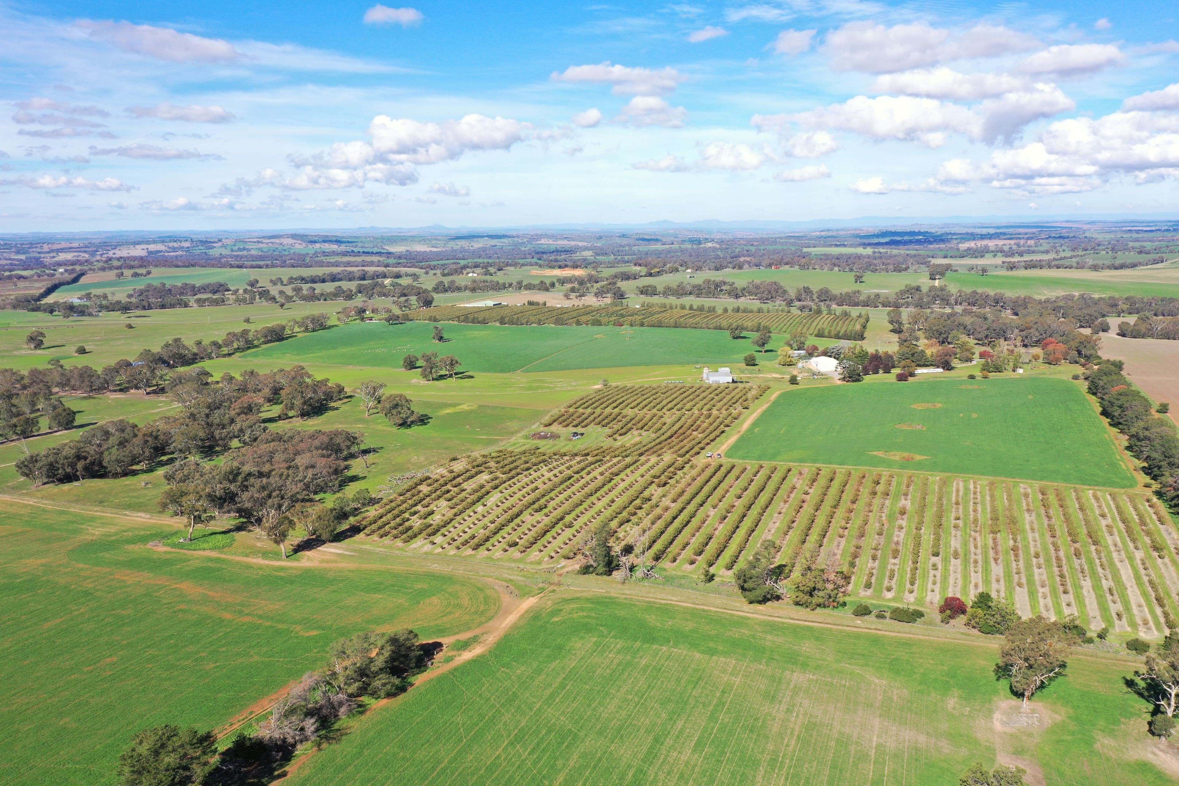 "Koepang", 70 Koepang Road, Wallendbeen NSW 2588, Wallendbeen - Thumbnail 3