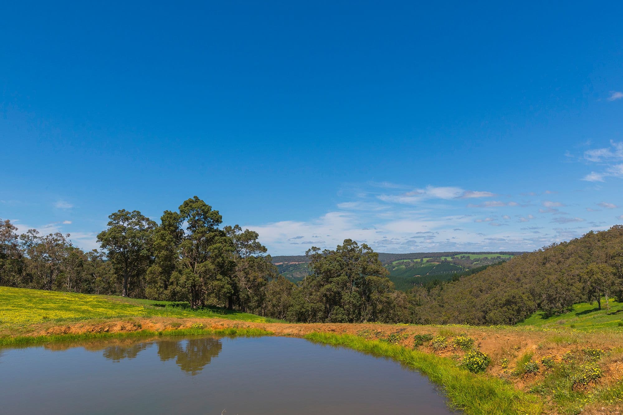 Nannup WA 6275, Nannup - Thumbnail 3
