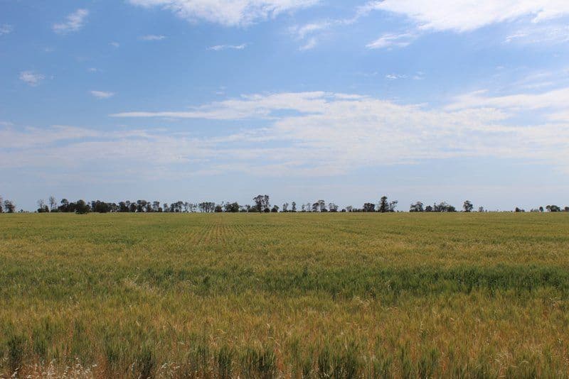" Part Kyona", Moree NSW 2400, Moree - Thumbnail 2