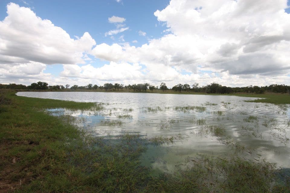 "Bardia" 2627 Baralaba-Rannes Road, BARALABA QLD 4702, Baralaba - Thumbnail 8