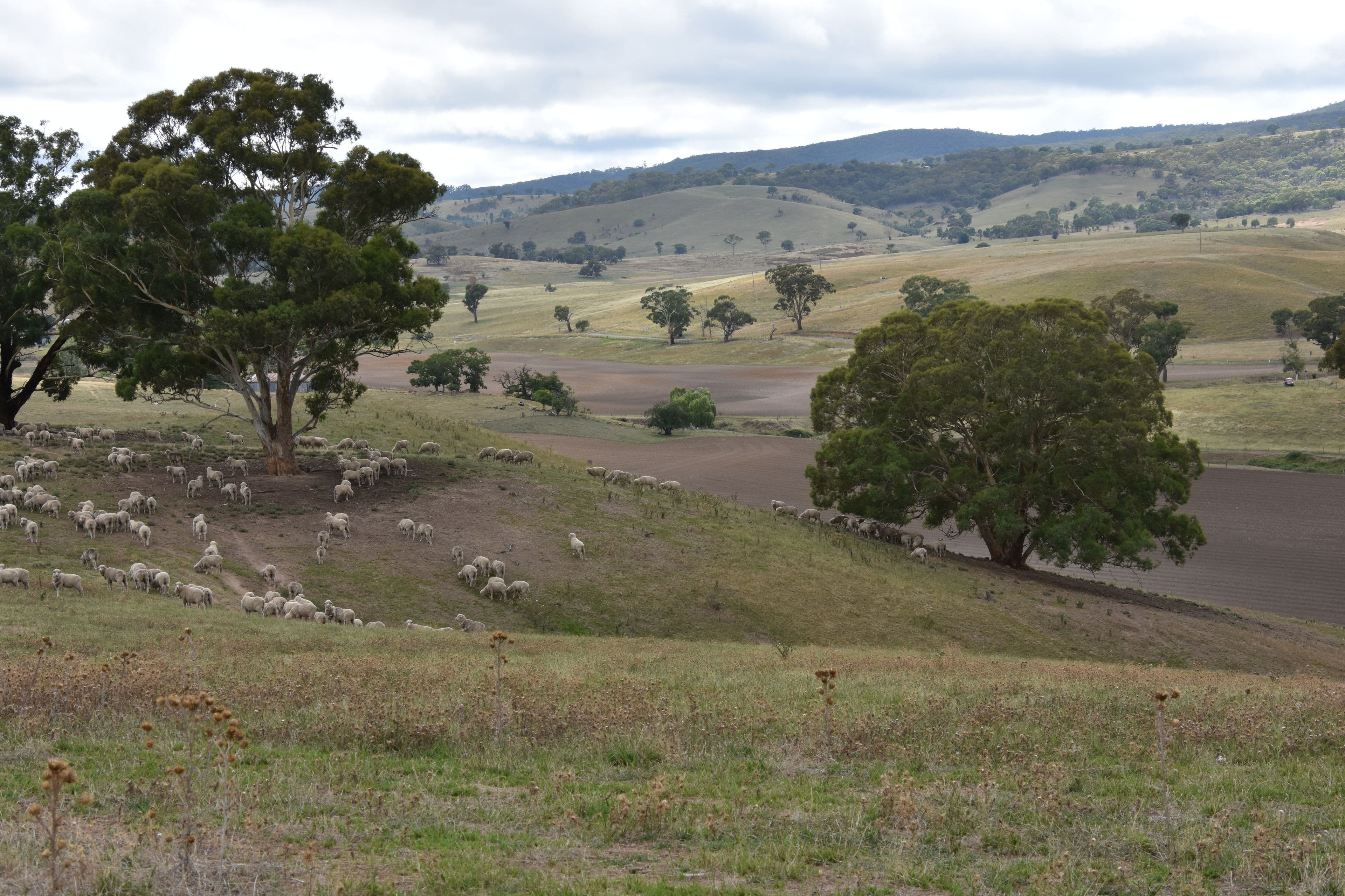 2727 Limekilns Road, Limekilns NSW 2795, Limekilns - Thumbnail 4