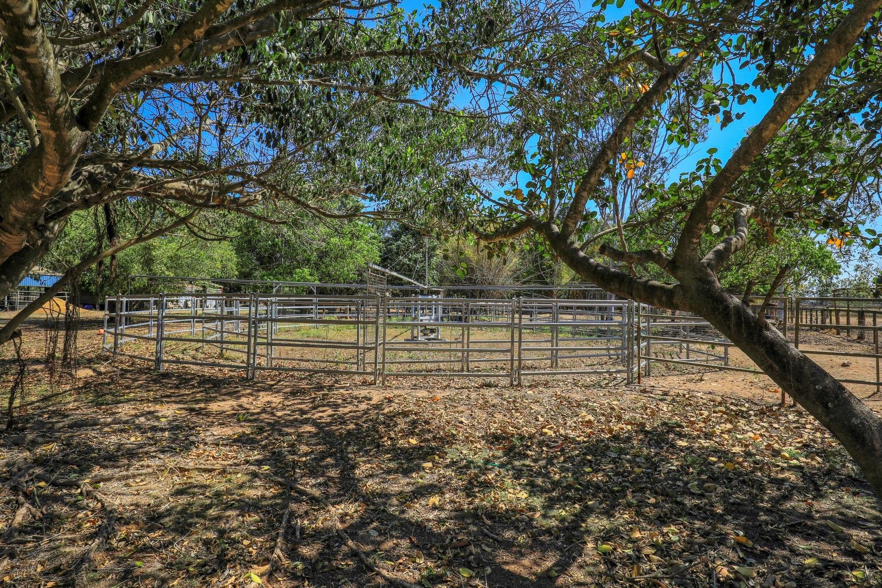 116 Douglas Road, Alloway QLD 4670, Alloway - Thumbnail 8
