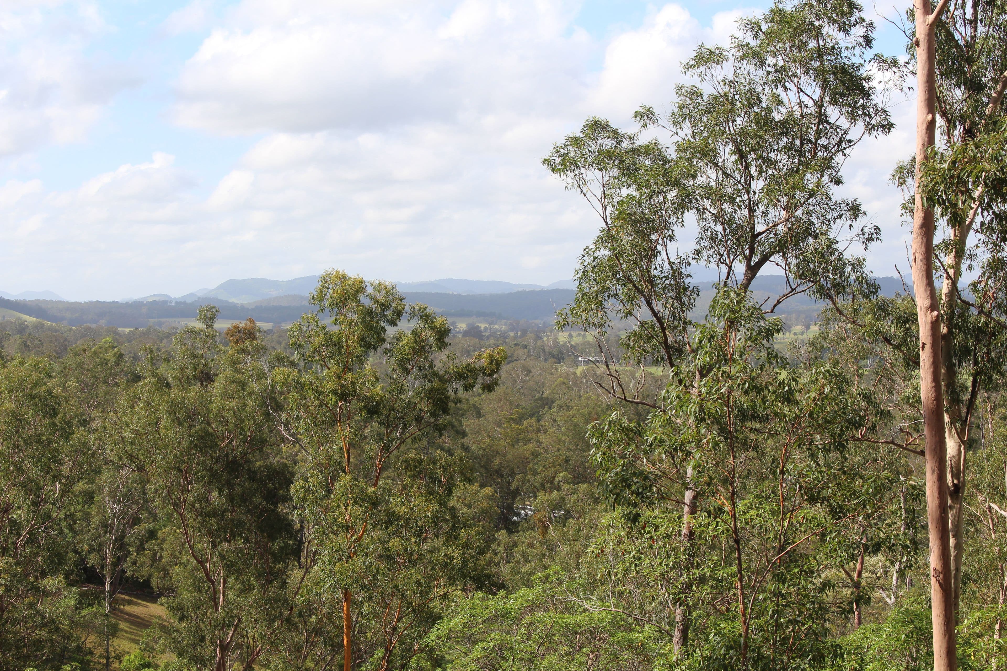 0 Dan Meurant Drive, Curra QLD 4570, Curra - Image 1