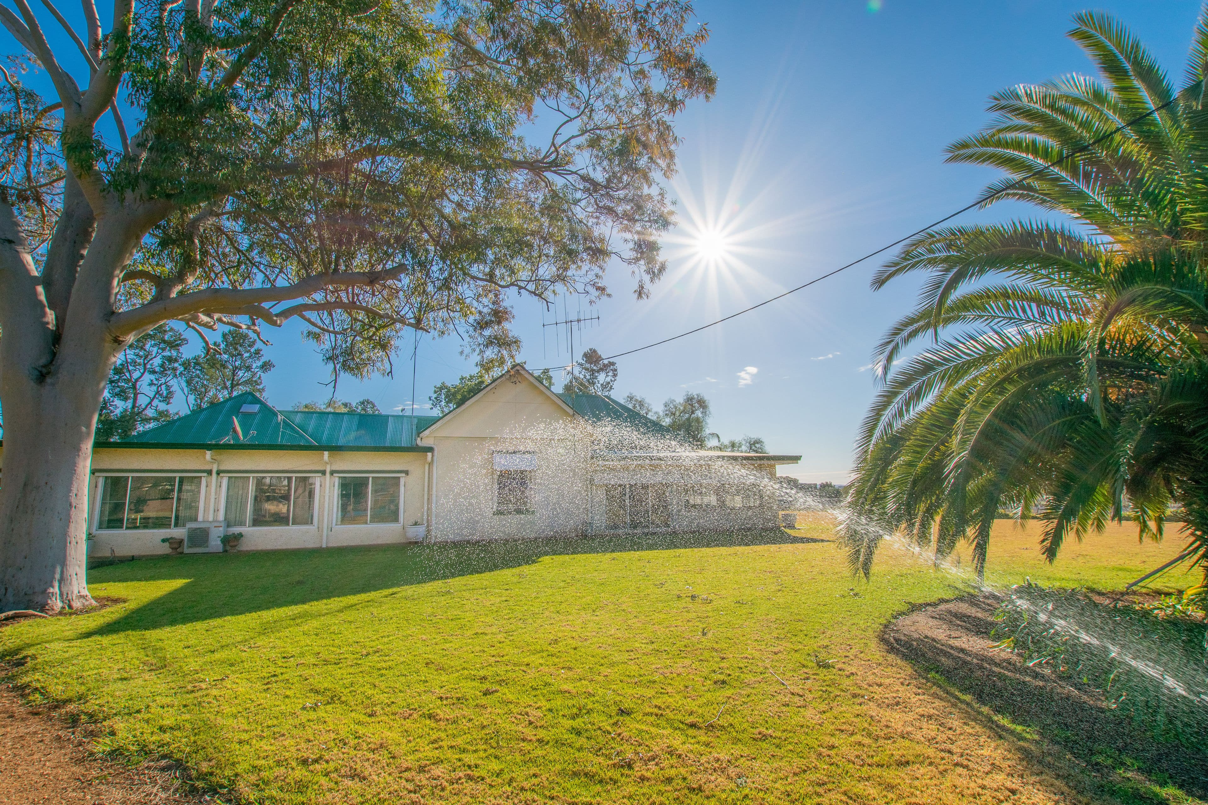 1203 Rivers Road, Canowindra NSW 2804, Canowindra - Thumbnail 4