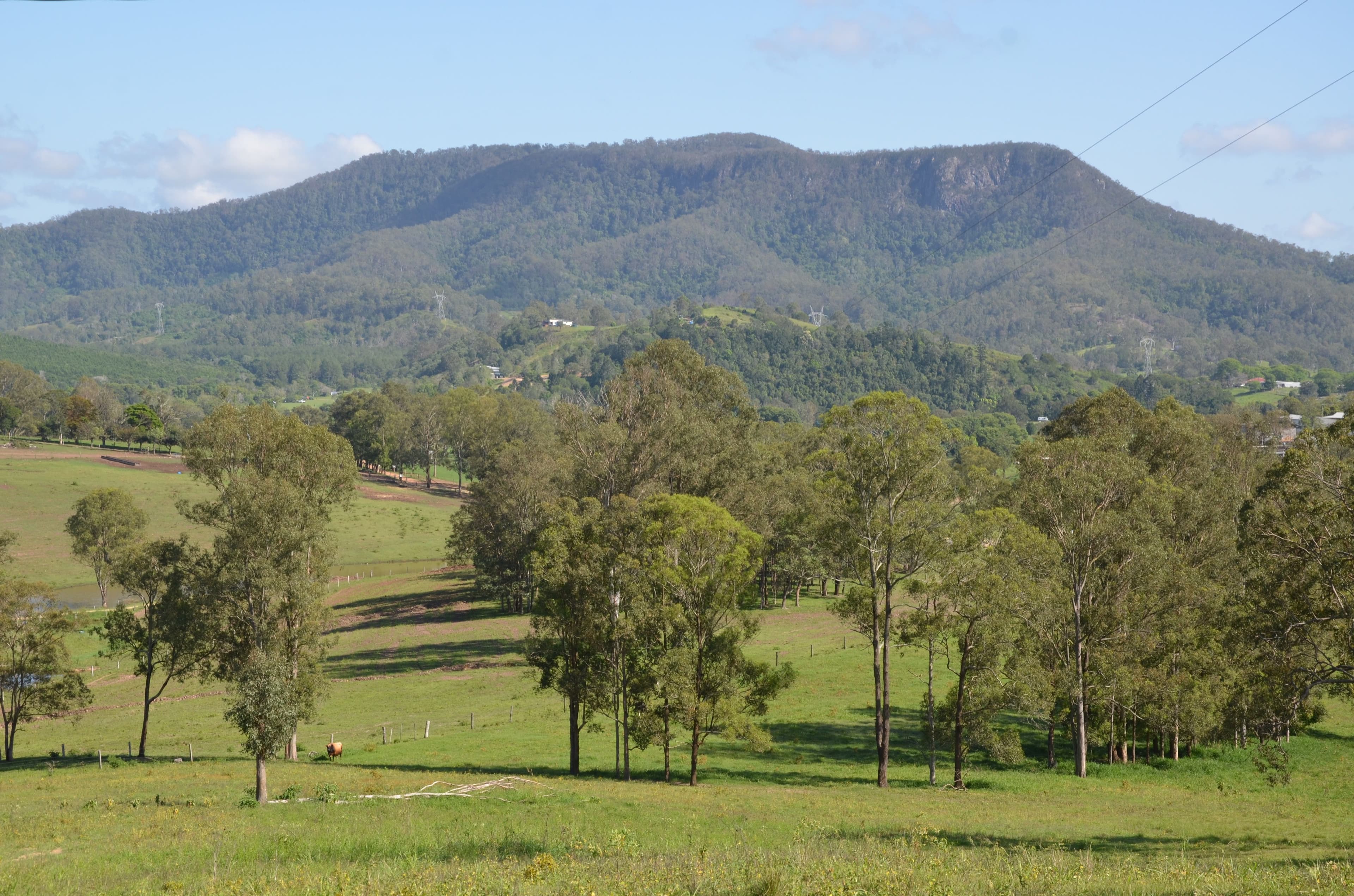 2598 Eumundi Kenilworth Road, Kenilworth QLD 4574, Kenilworth - Image 1
