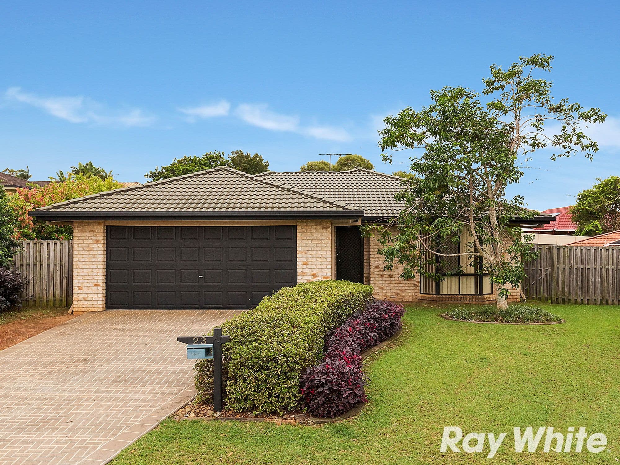 23 Cairns Road, Griffin QLD 4503, Griffin - Image 1