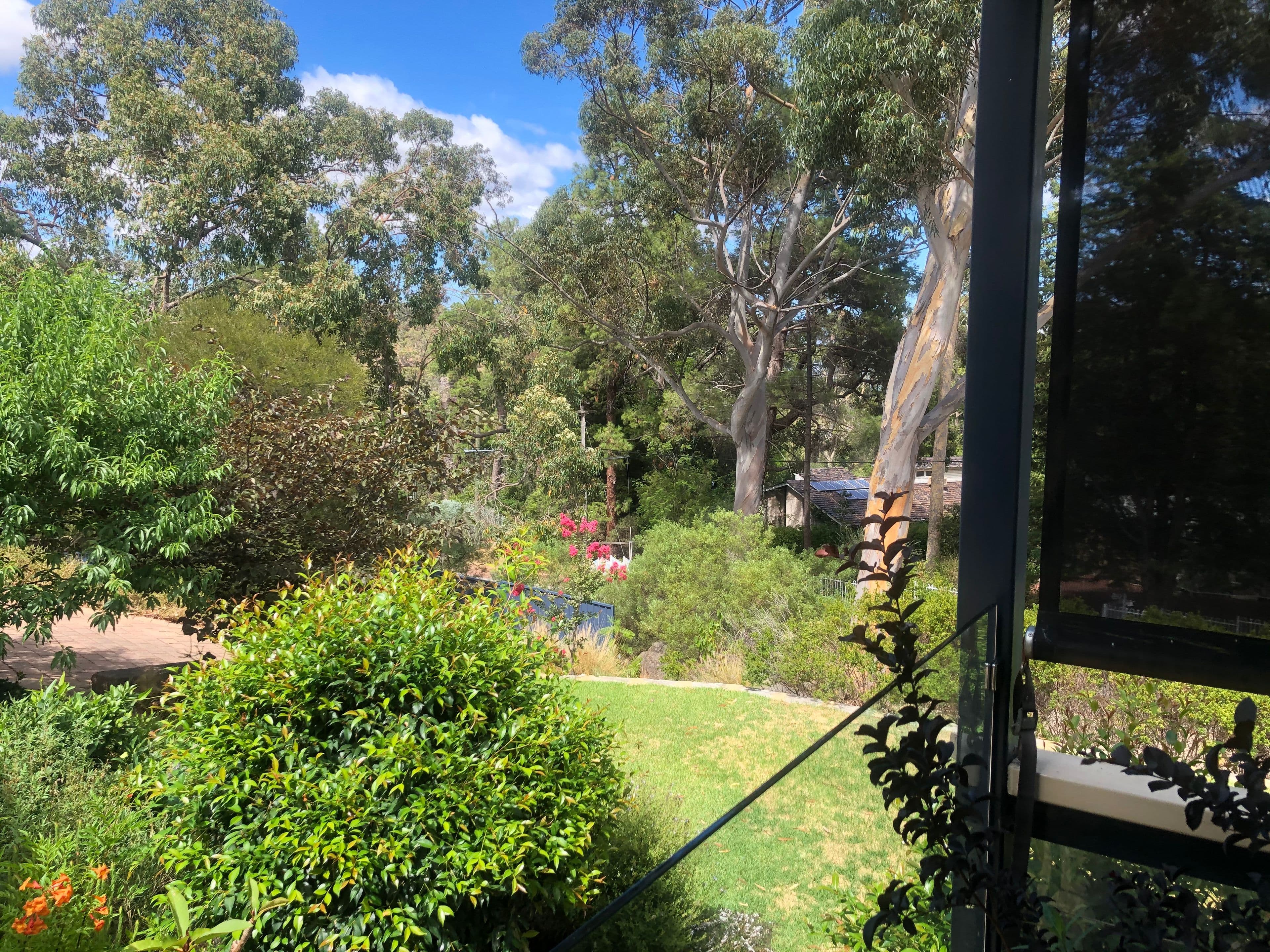20 Faye Crescent, Gooseberry Hill WA 6076, Gooseberry Hill - Thumbnail 6