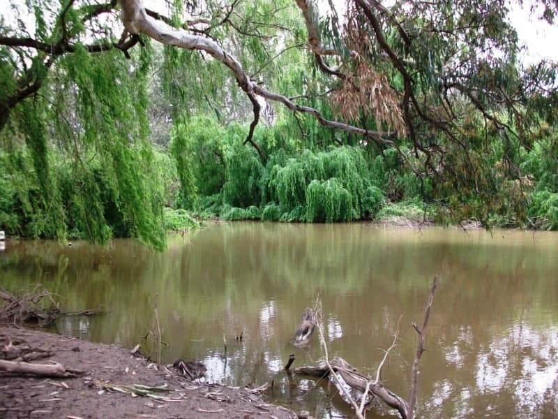 Lot 16 North Forbes Road, Condobolin NSW 2877, Condobolin - Thumbnail 4