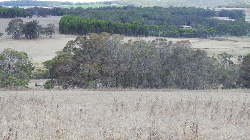 628 Porongurup Road, Mount Barker WA 6324, Mount Barker - Thumbnail 6