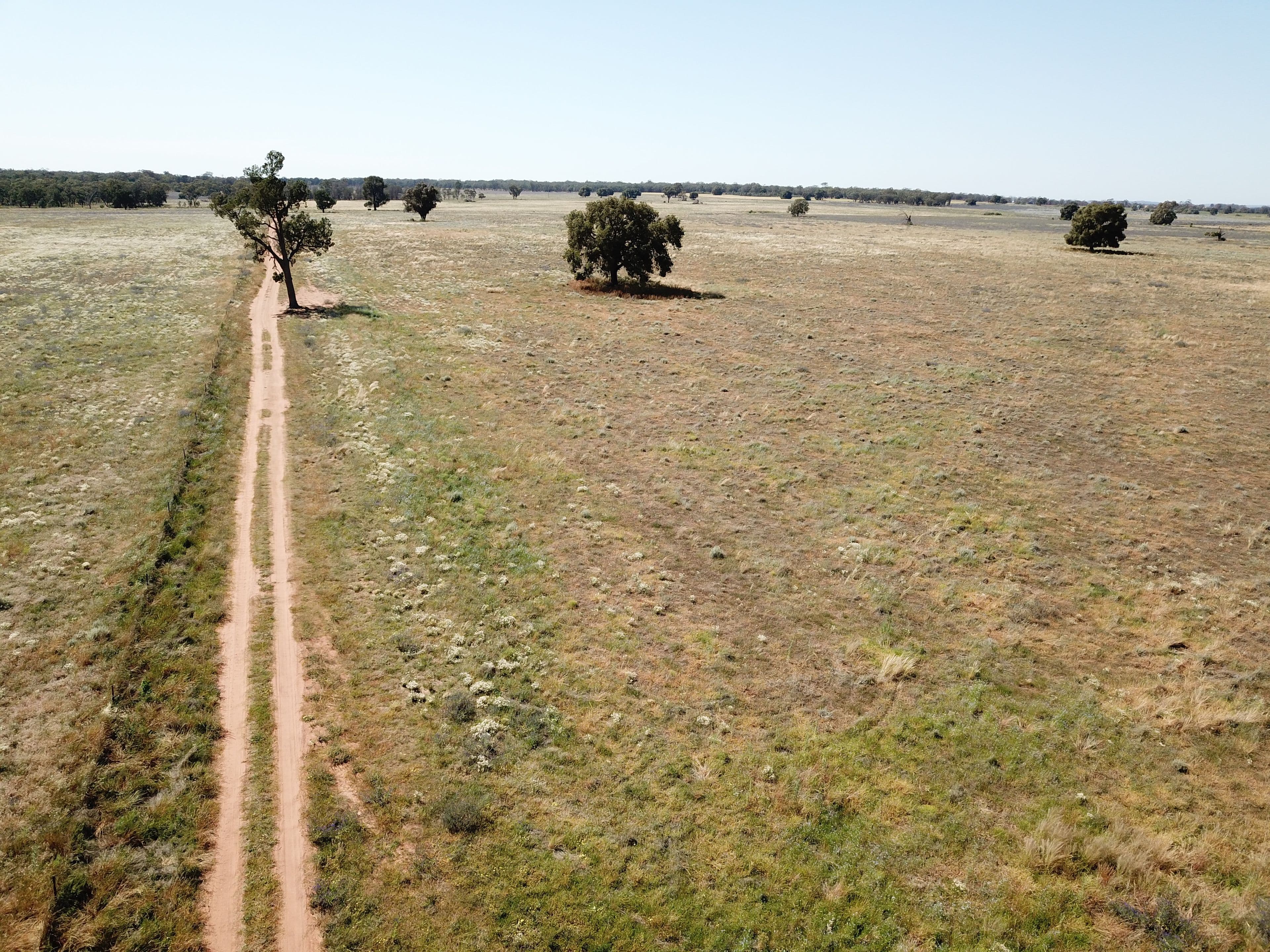 'Waratah' 176 Lincoln Lane, Narromine NSW 2821, Narromine - Image 1