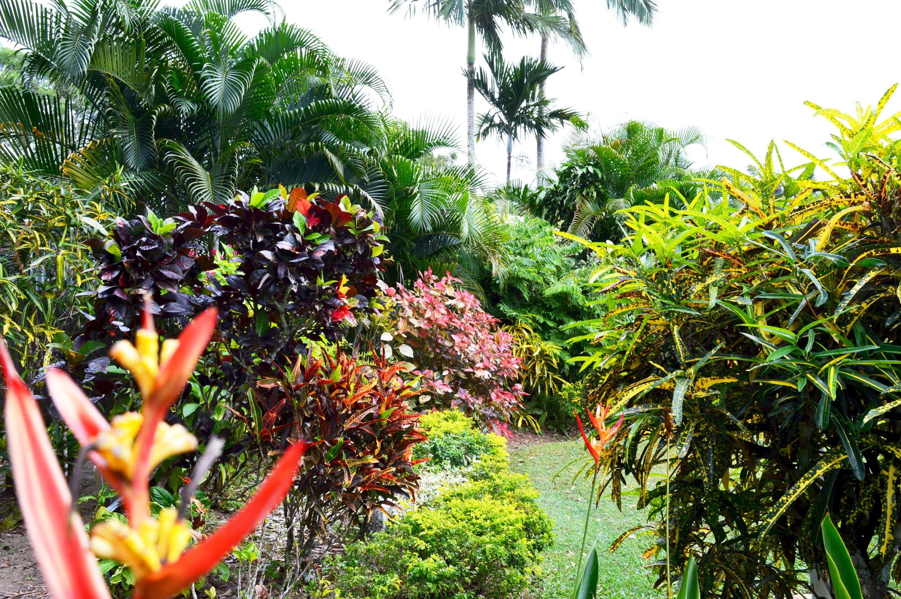 24 Kwila Street, Wongaling Beach QLD 4852, Wongaling Beach - Thumbnail 8