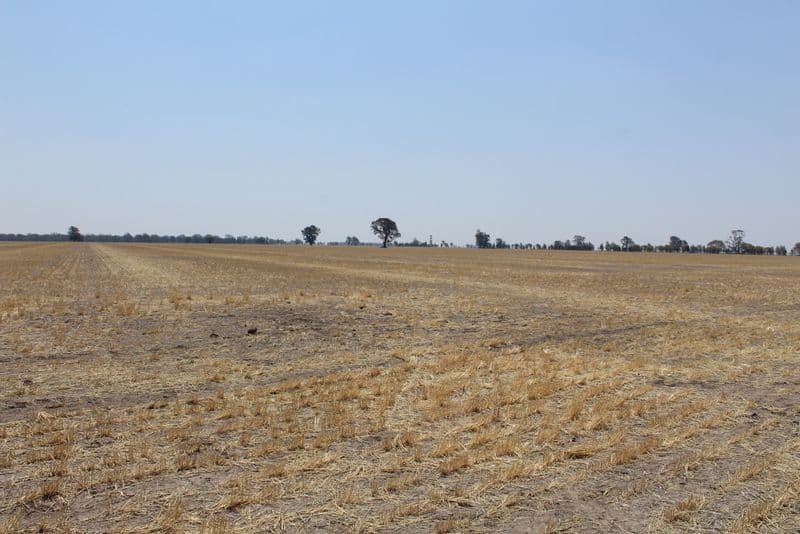 '' Kyona", Moree NSW 2400, Moree - Thumbnail 5